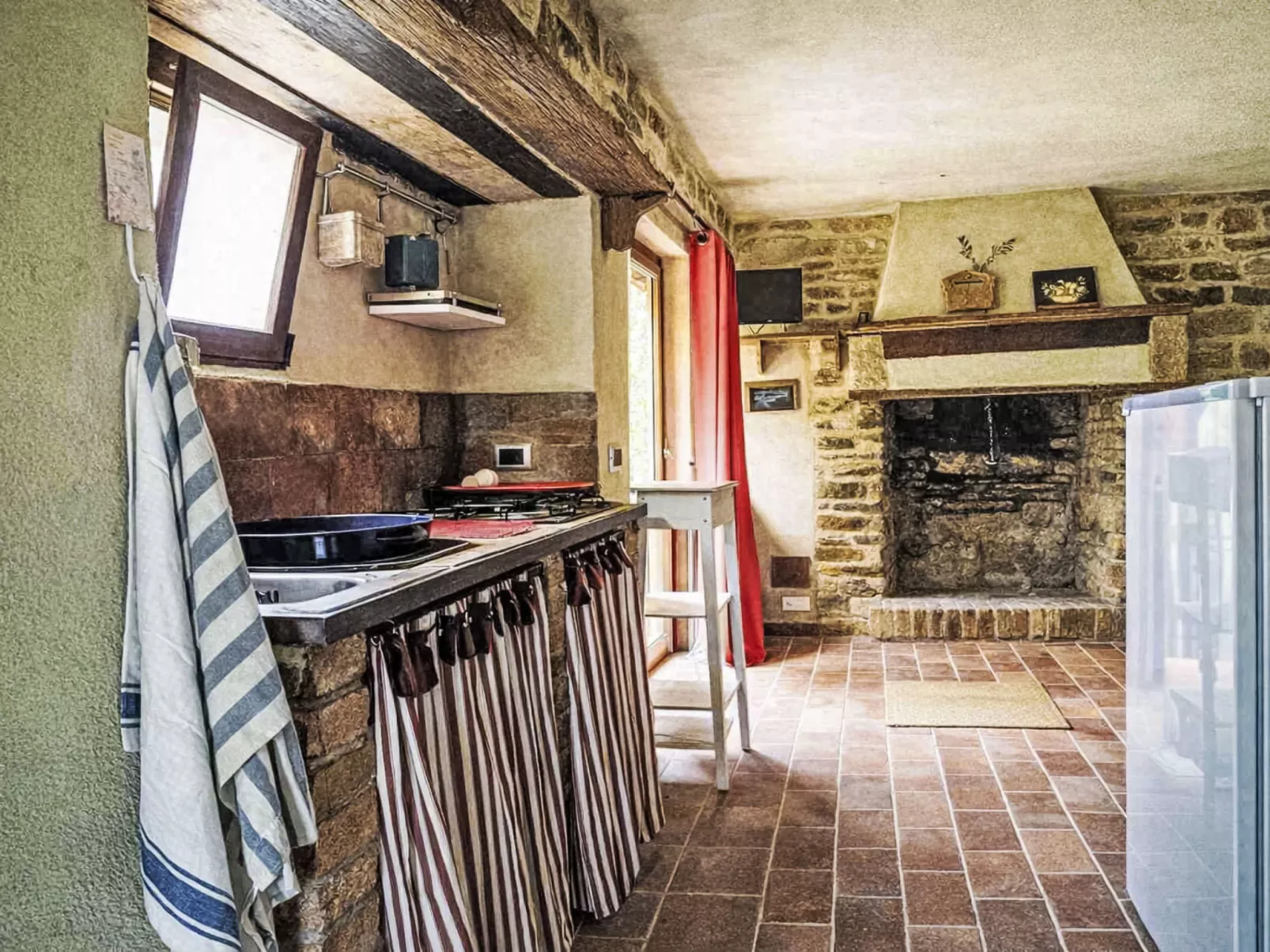 Cotoneaster - Binnen