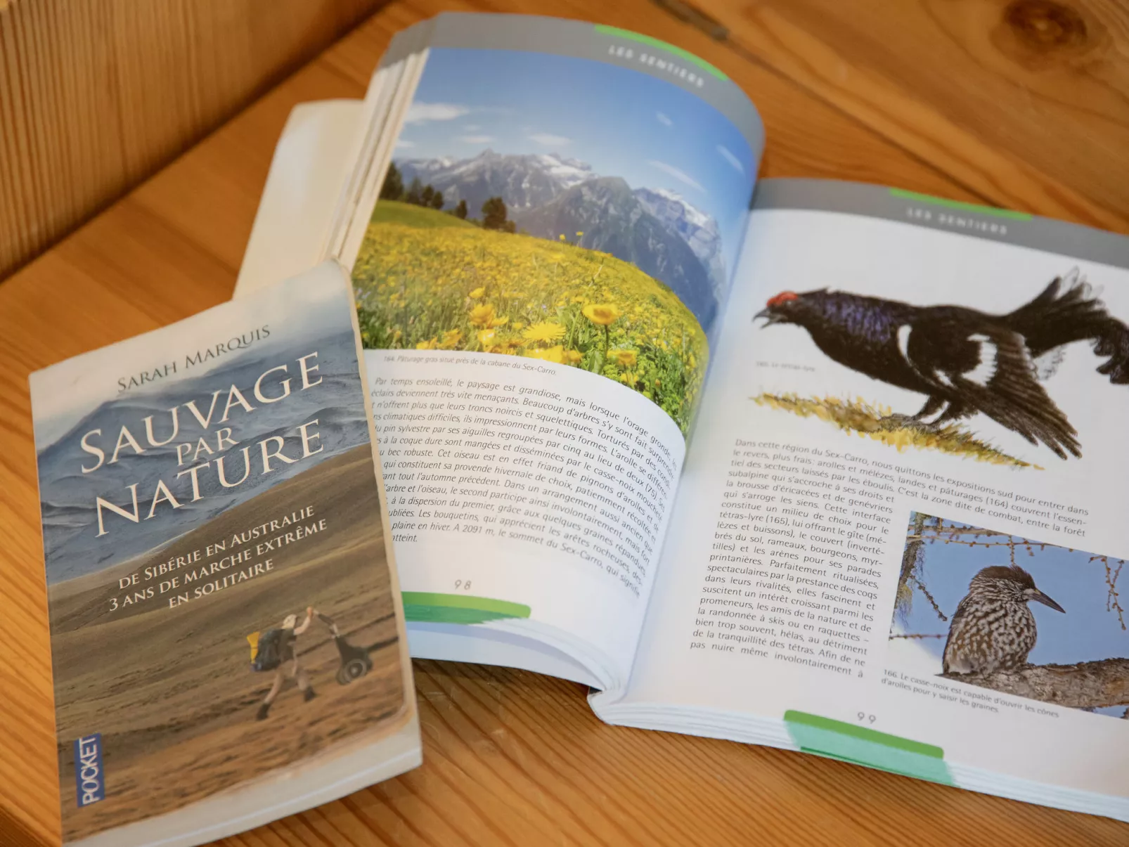 Centaure B RI 1 - Binnen