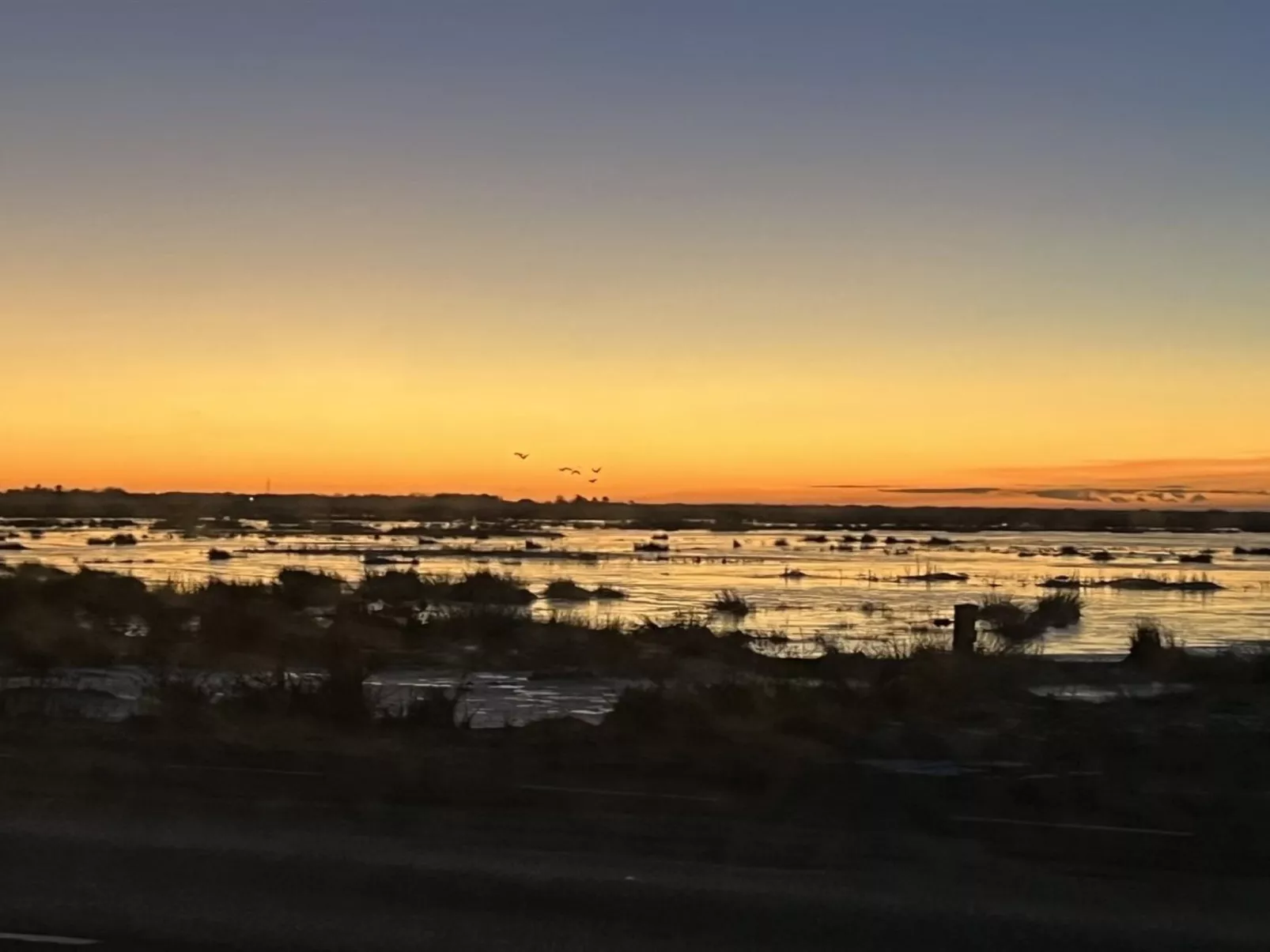 "Ronja" - 100m to the fjord - Buiten