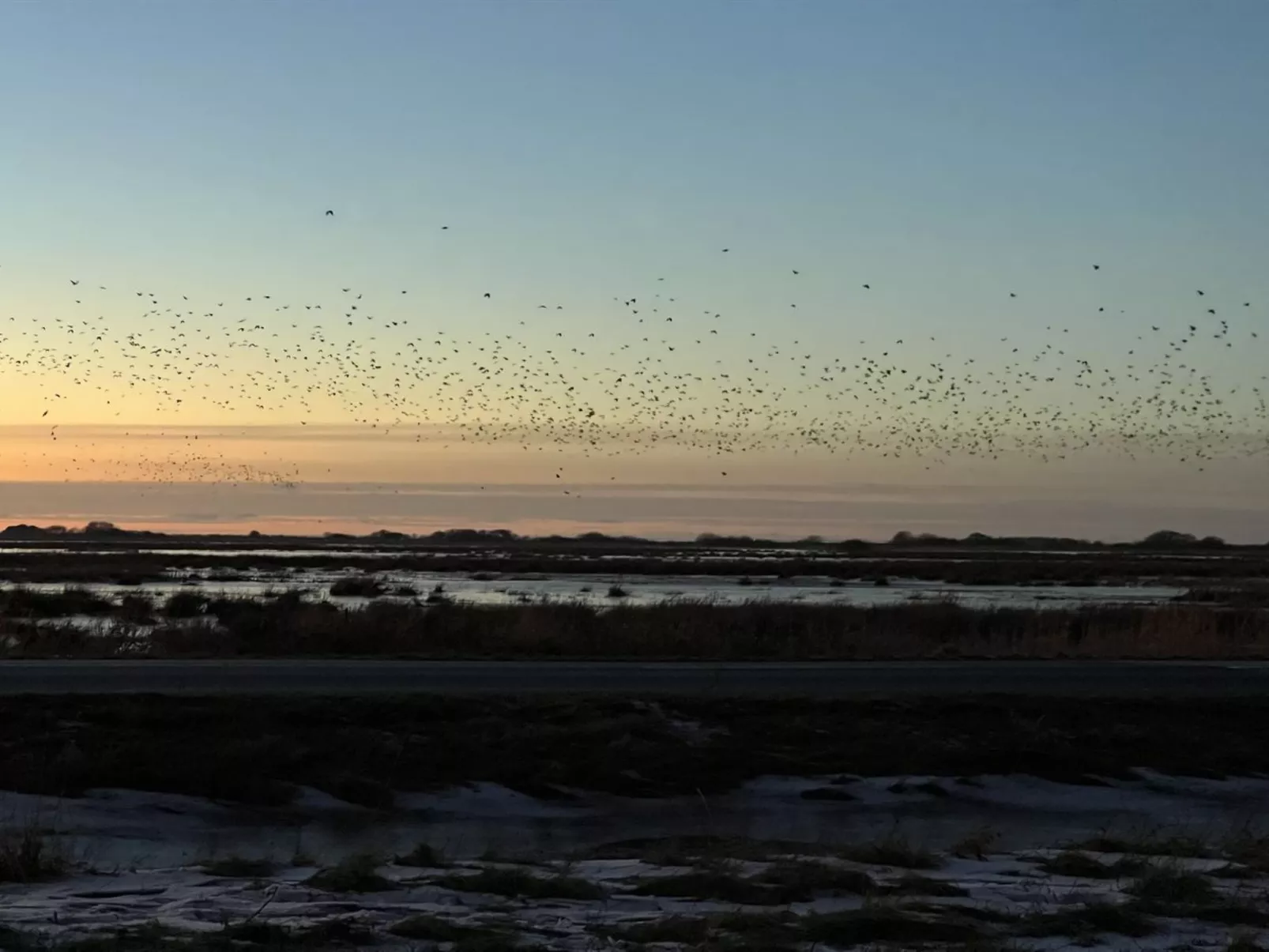 "Ronja" - 100m to the fjord - Buiten