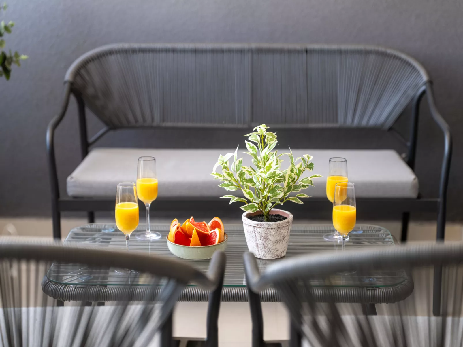 Mediterranee Oliva - Buiten