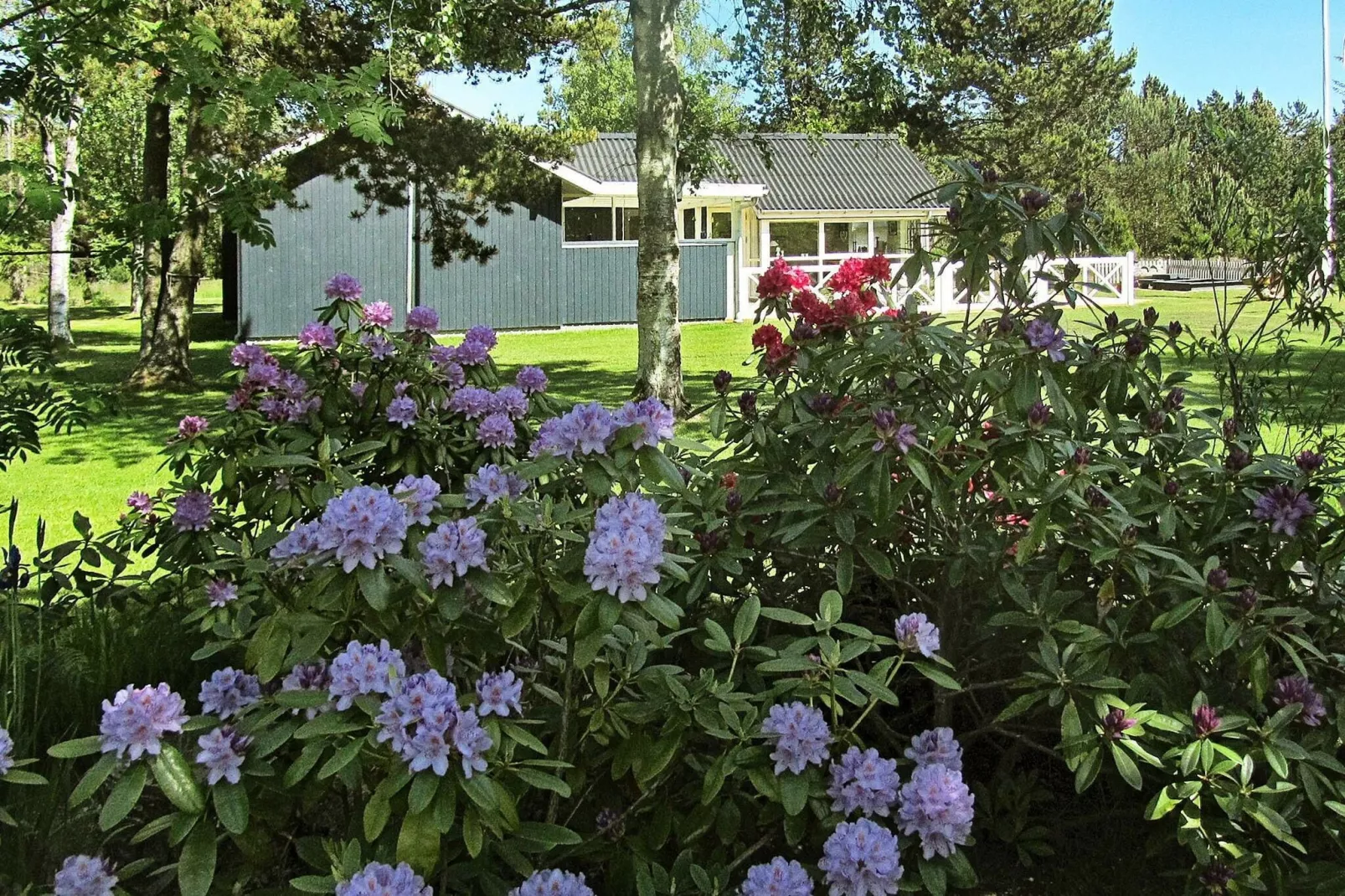 5 persoons vakantie huis in Jerup-By Traum-Uitzicht