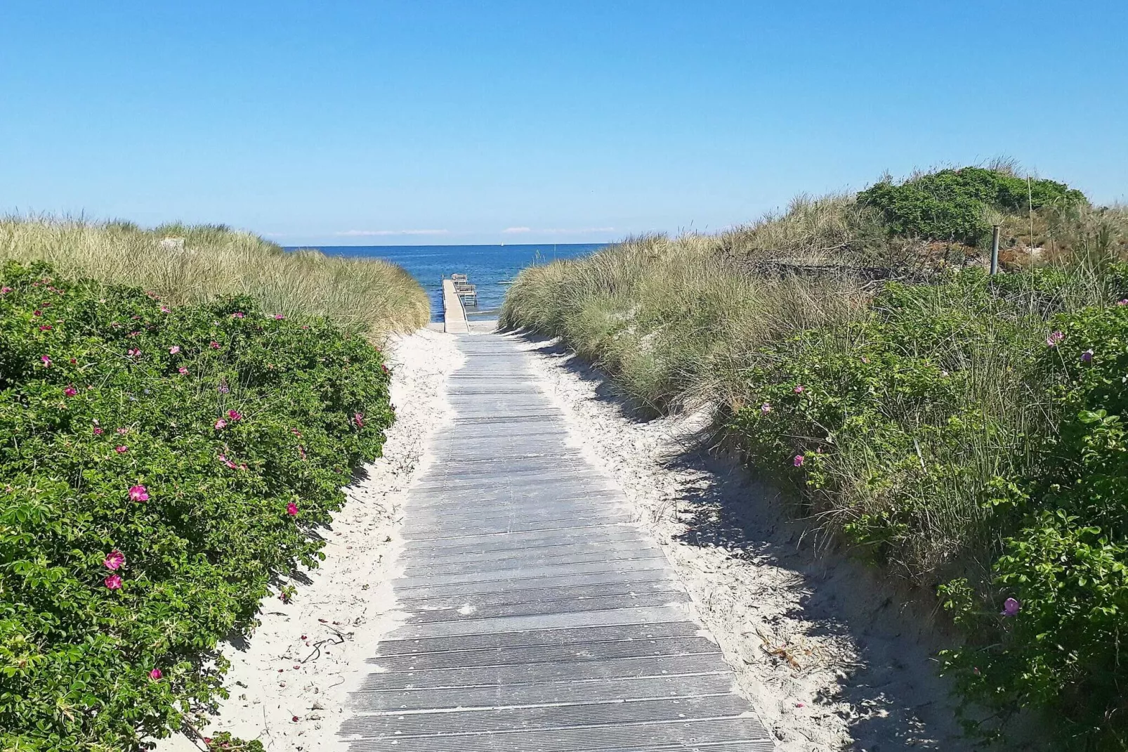5 persoons vakantie huis in Jerup-By Traum-Uitzicht
