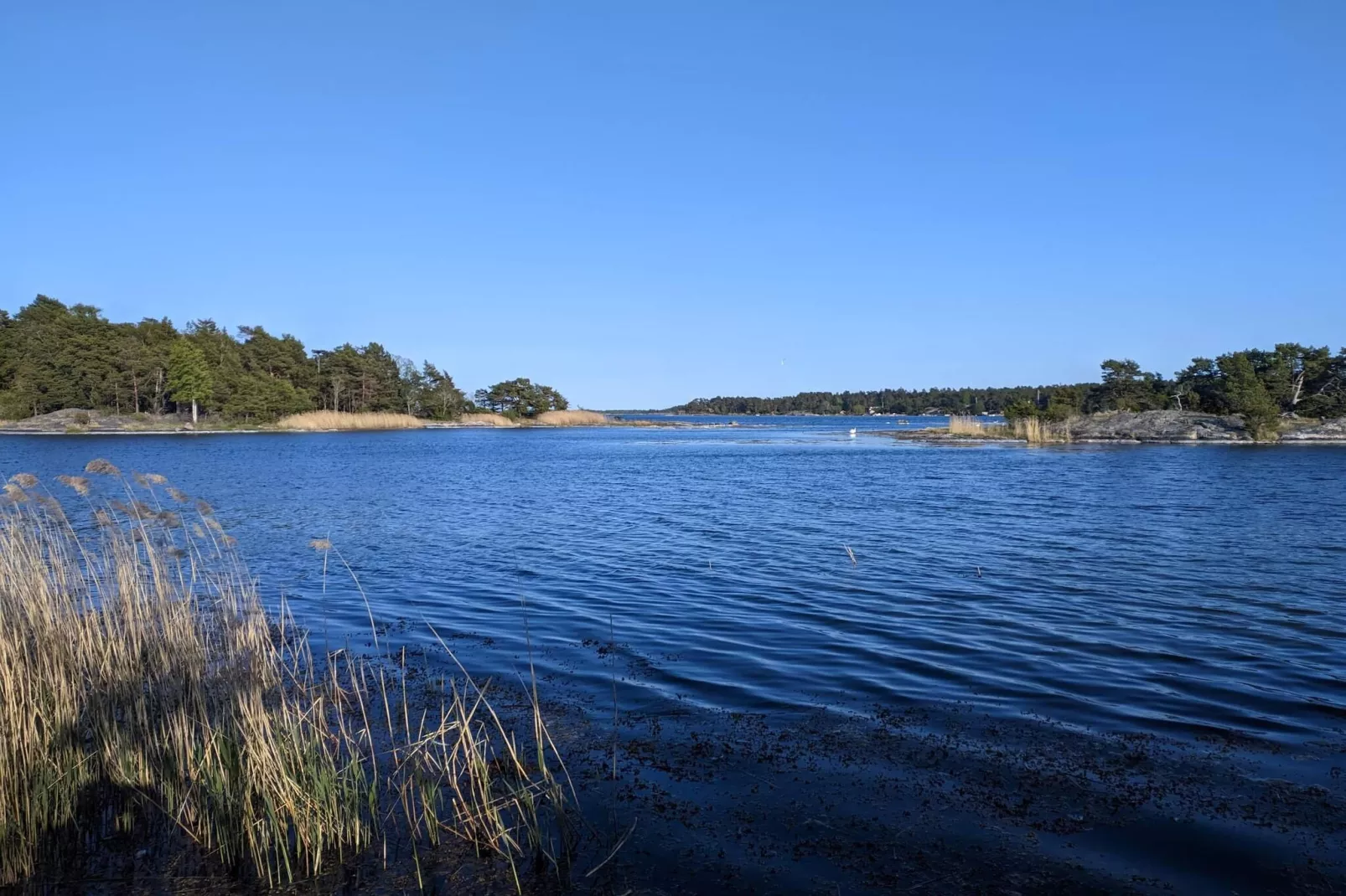 6 persoons vakantie huis in Djurhamn - Waterzicht