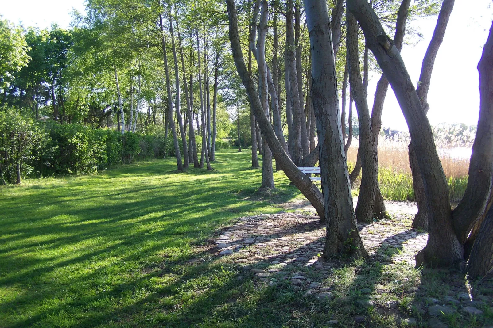 Bungalow 2 SZ 4 P - Parkfaciliteiten