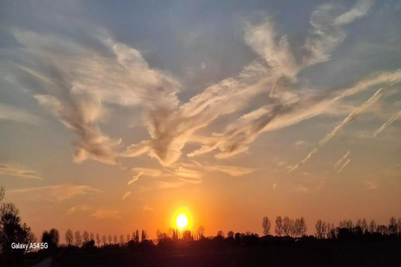 Resort Waterrijk Oesterdam 14 - Gebieden zomer 20km