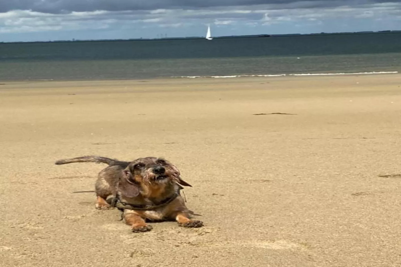 Resort Waterrijk Oesterdam 8 - Gebieden zomer 20km