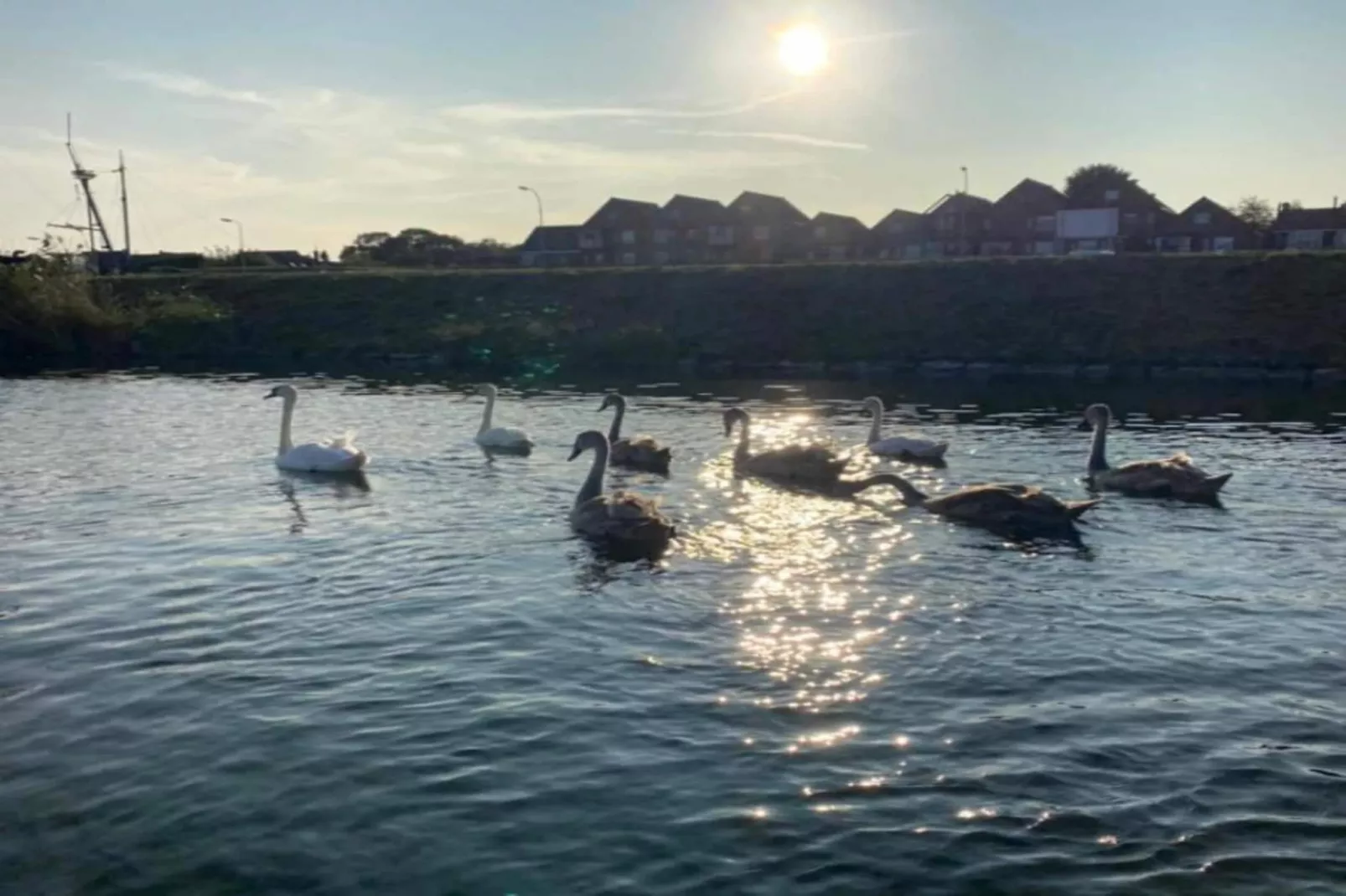 Resort Waterrijk Oesterdam 5 - Gebieden zomer 20km