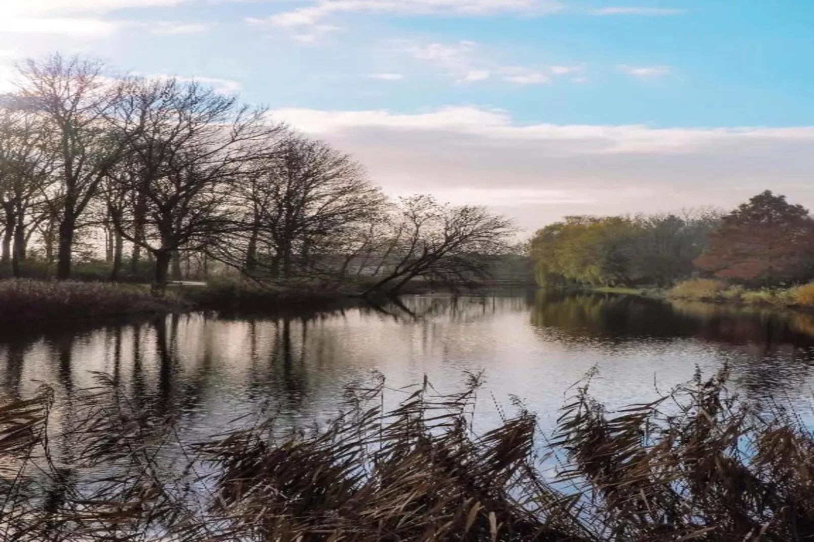 Resort Waterrijk Oesterdam 14 - Gebieden zomer 20km