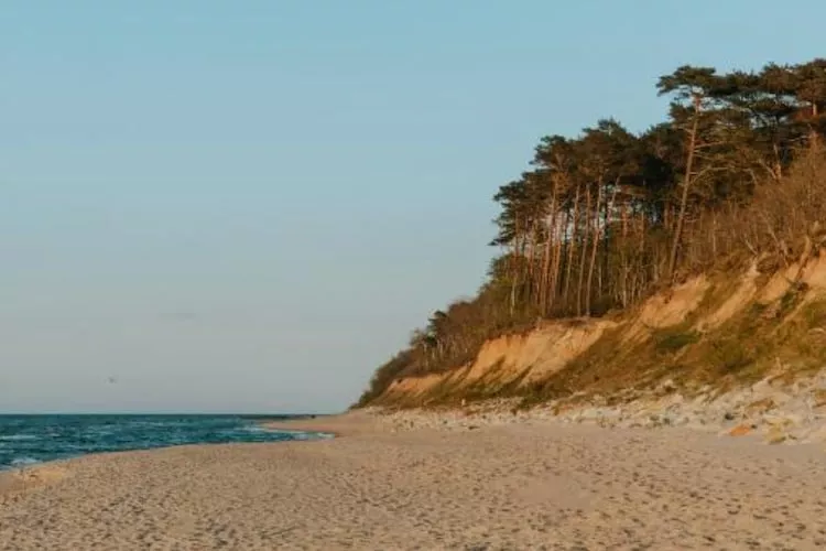 Domy wakacyjne i apartamenty w Niechorzu - Gebieden zomer 1km
