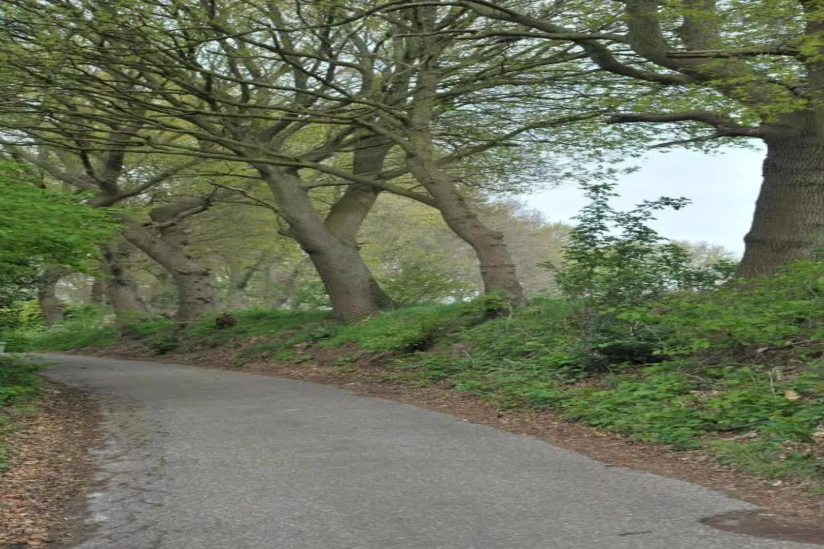 Resort Waterrijk Oesterdam 8 - Gebieden zomer 20km