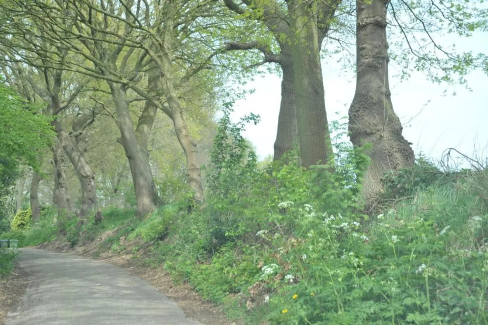 Resort Waterrijk Oesterdam 14 - Gebieden zomer 20km