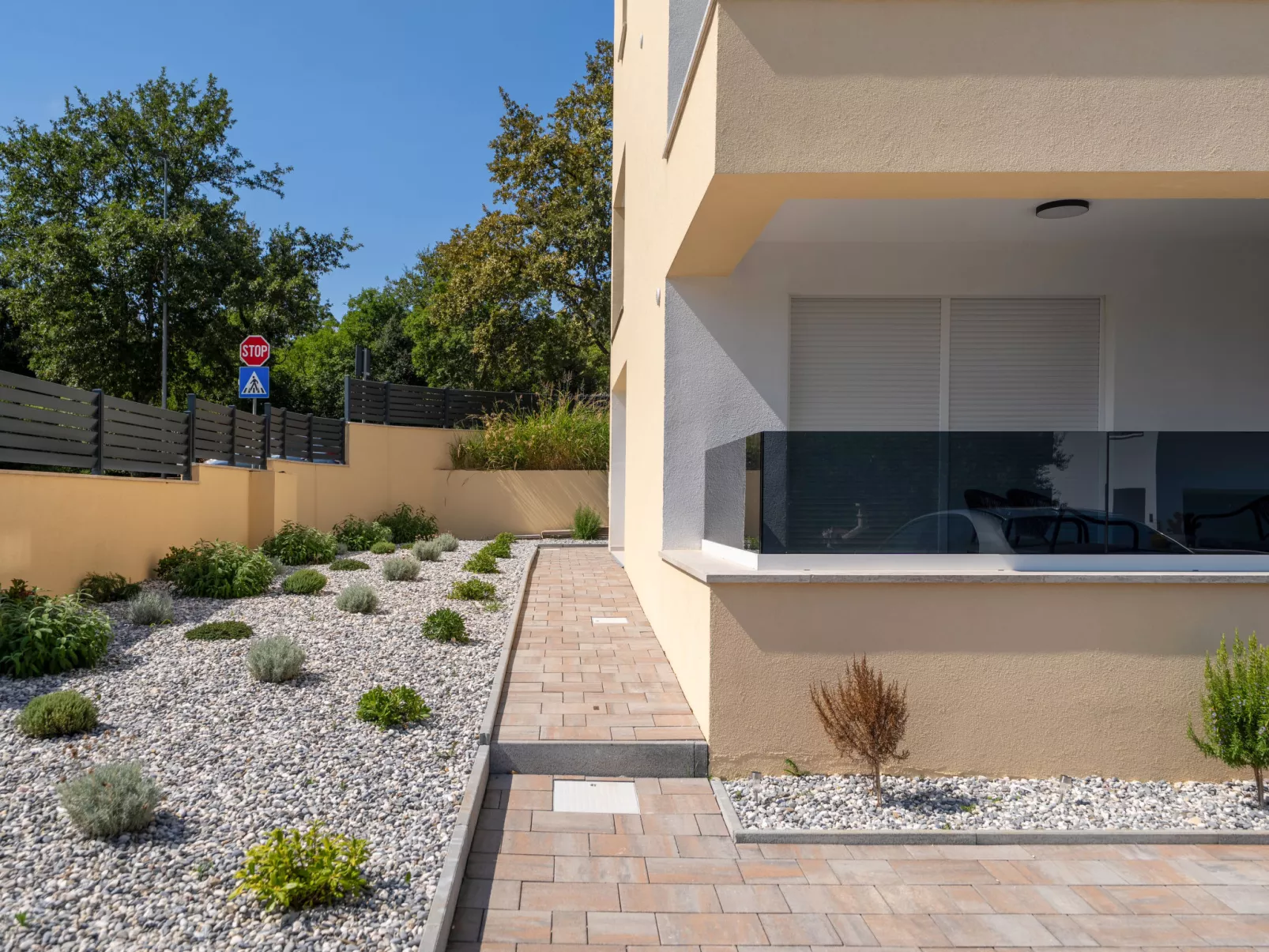 Mediterranee Oliva - Buiten