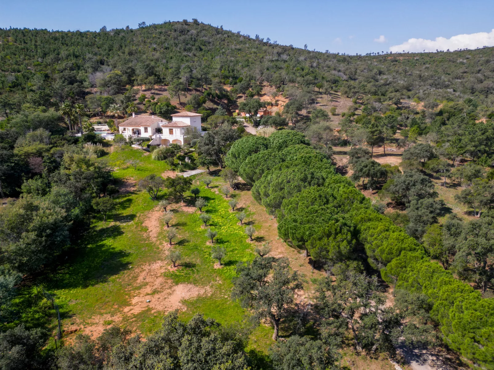 Villa Resedas - Buiten