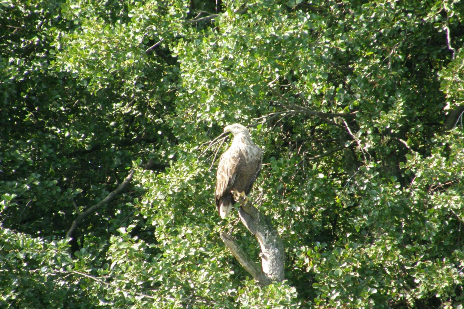 Bungalow 2 SZ 4 P - Parkfaciliteiten