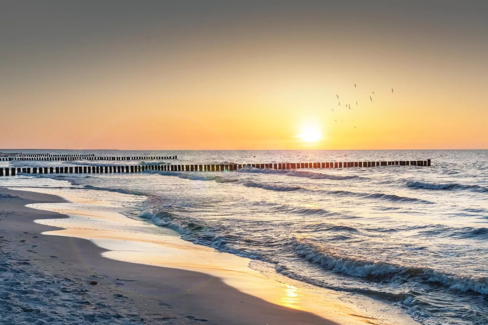 Rugen 2-bedroom suite 5 guest - Gebieden zomer 5km