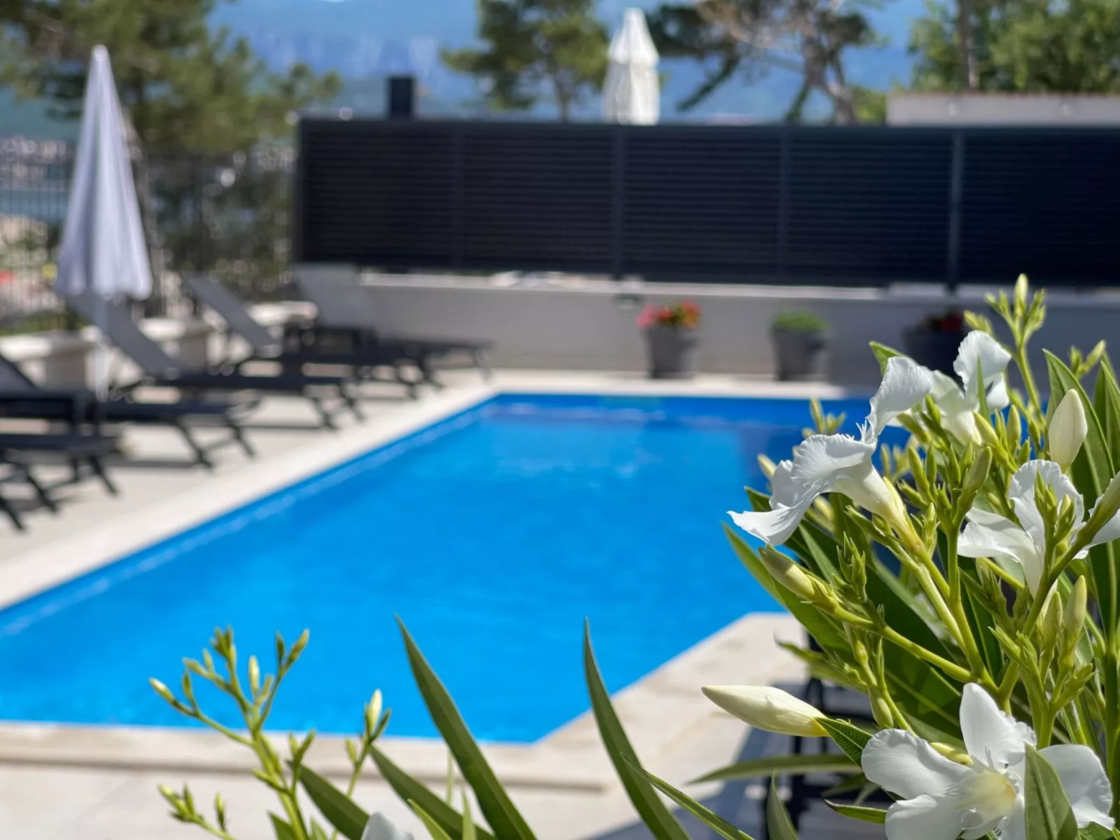 Apartment SeaLuxe mit Whirlpool