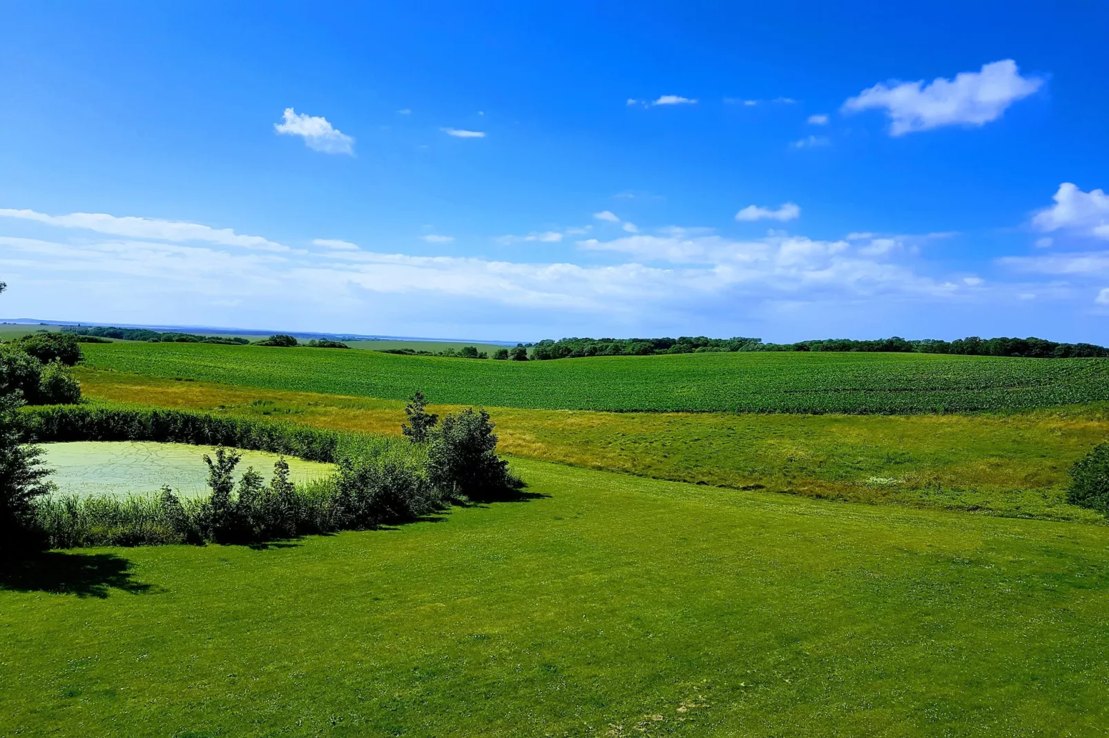 Rugen Deluxe 2 bedroom Apartment 3 guest - Gebieden zomer 5km