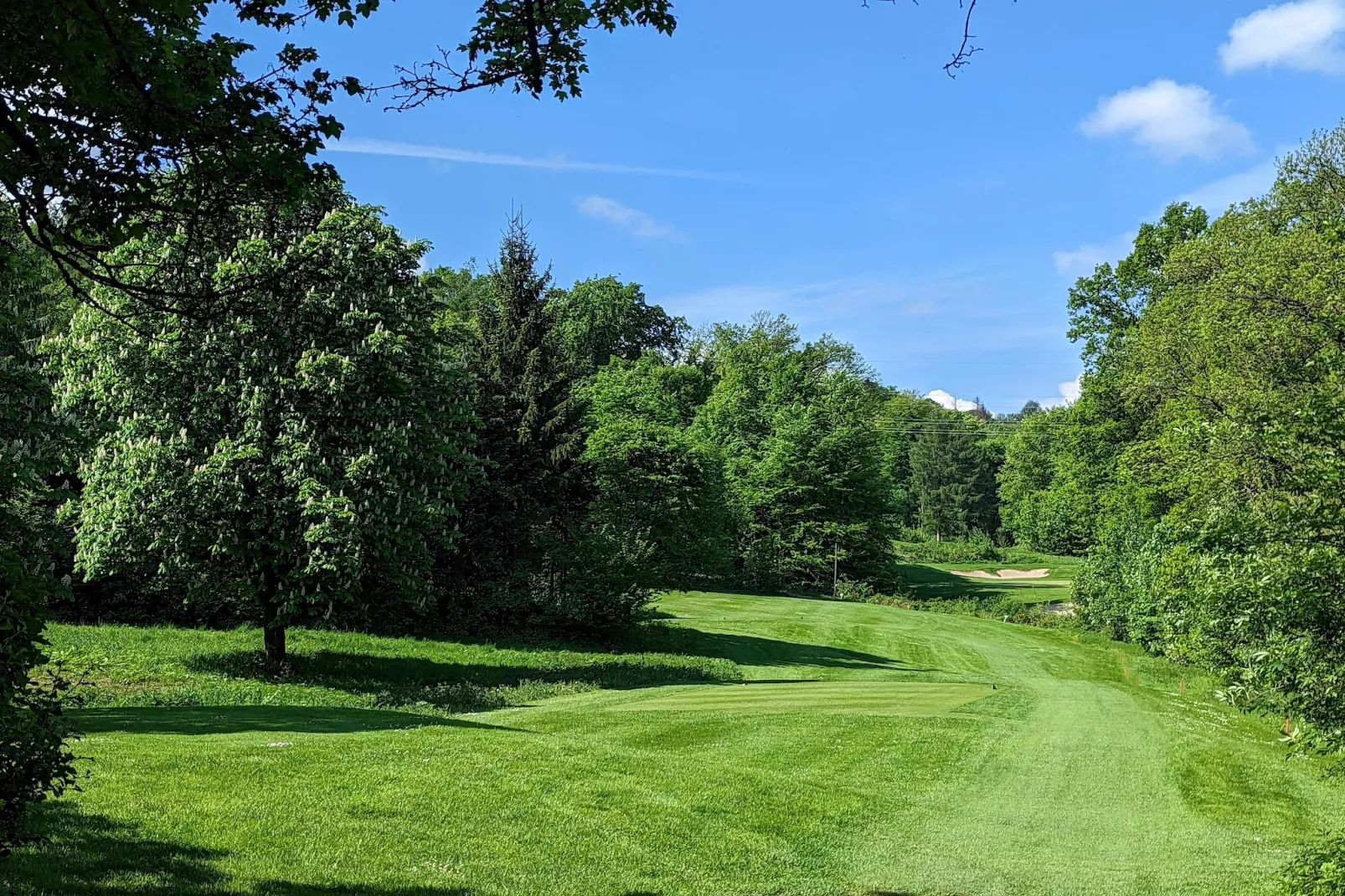 Mercure Hotel - Standard King Room - Gebieden zomer 5km