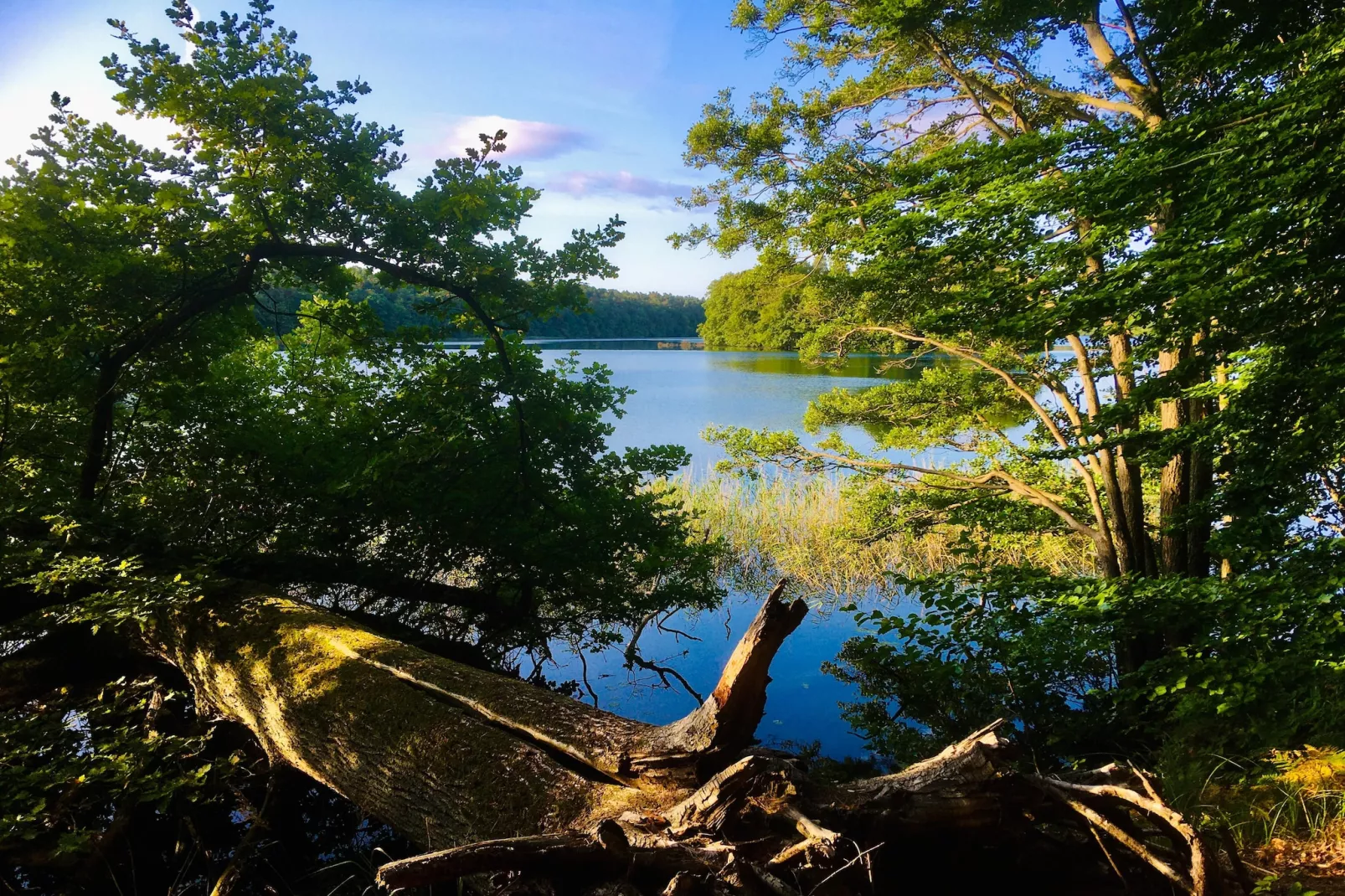 Standard Suite Room - Gebieden zomer 5km