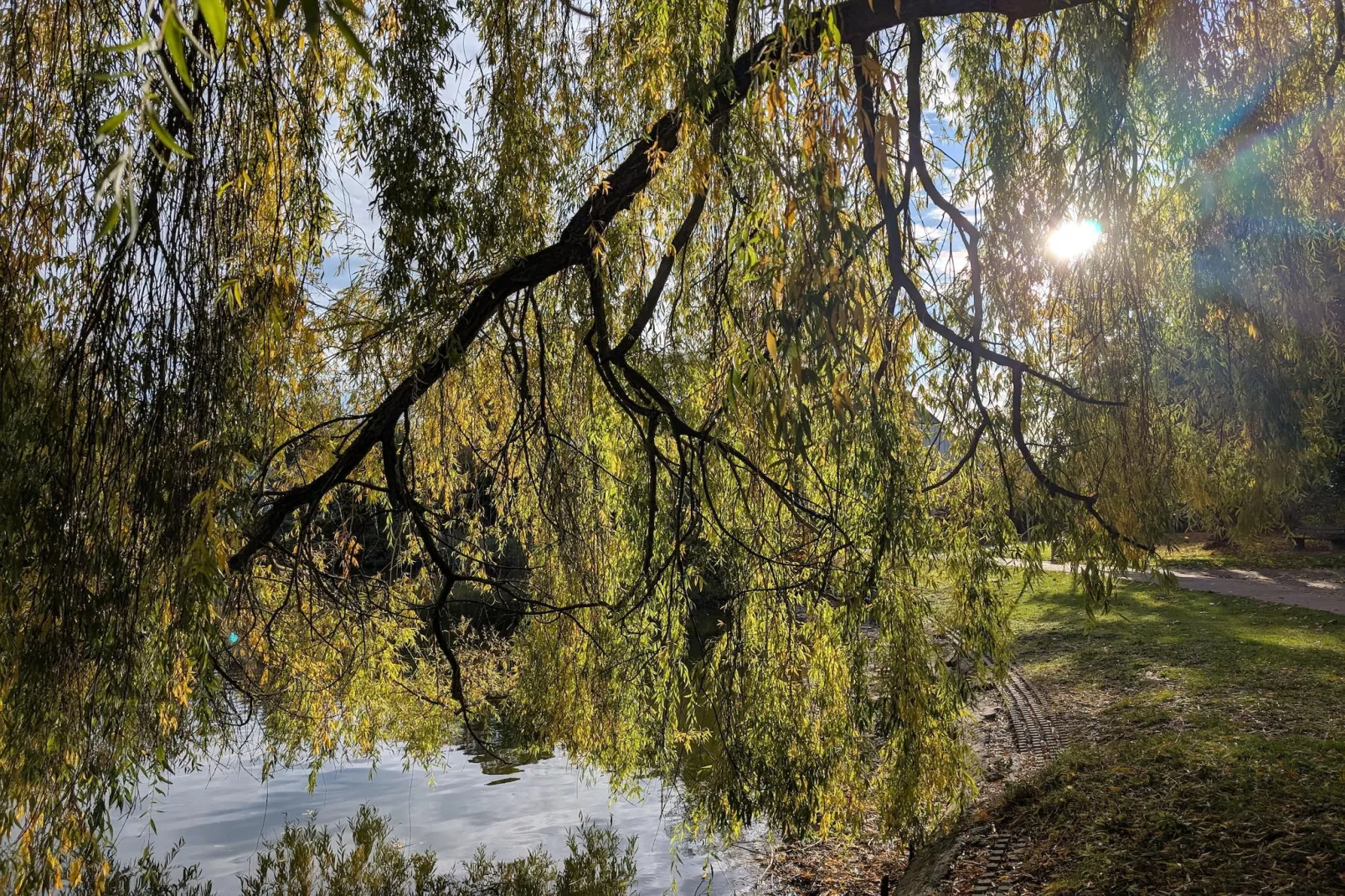 Mercure Hotel - Standard Twin Room - Gebieden zomer 5km