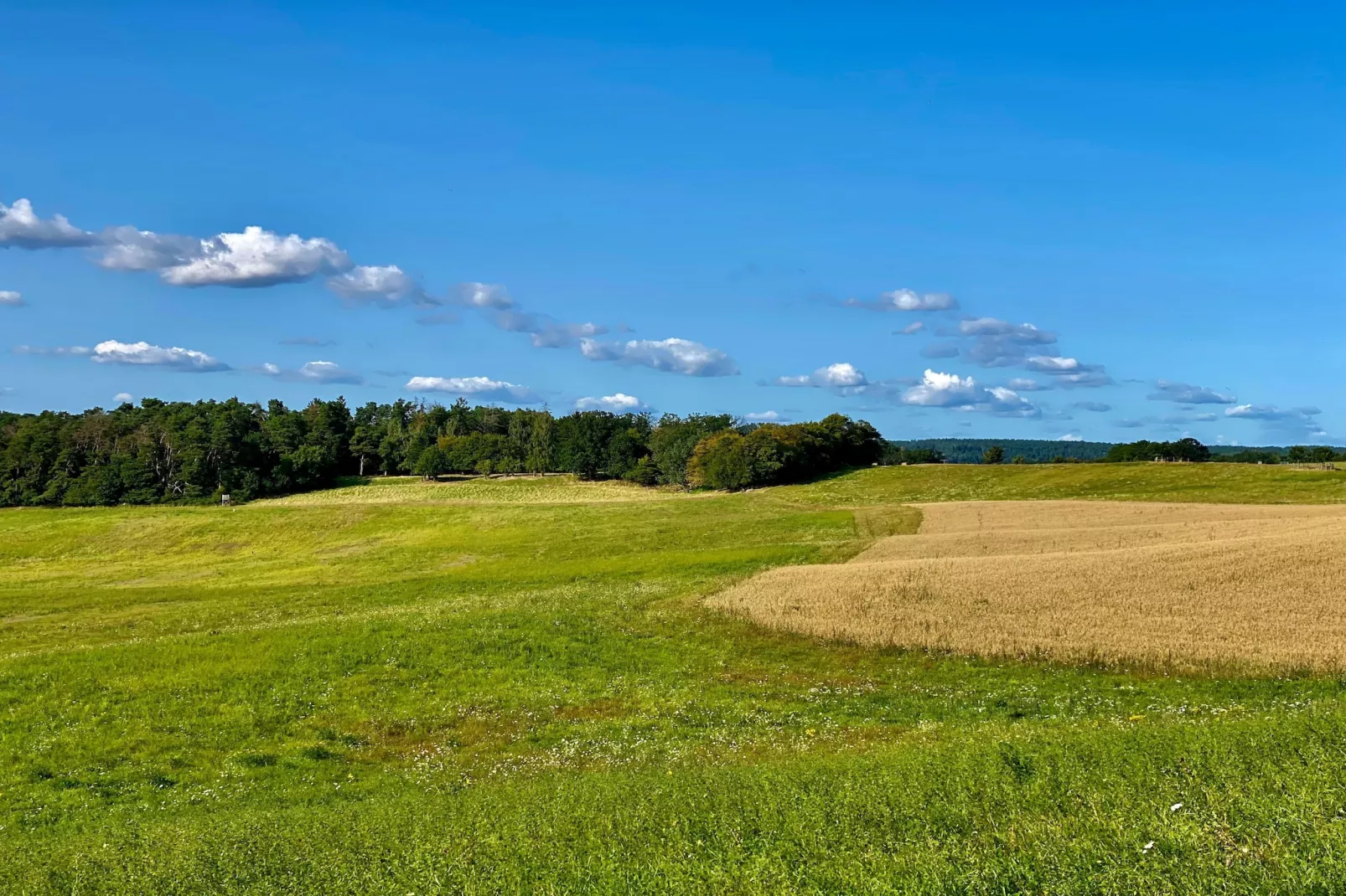 Single Room - Gebieden zomer 5km