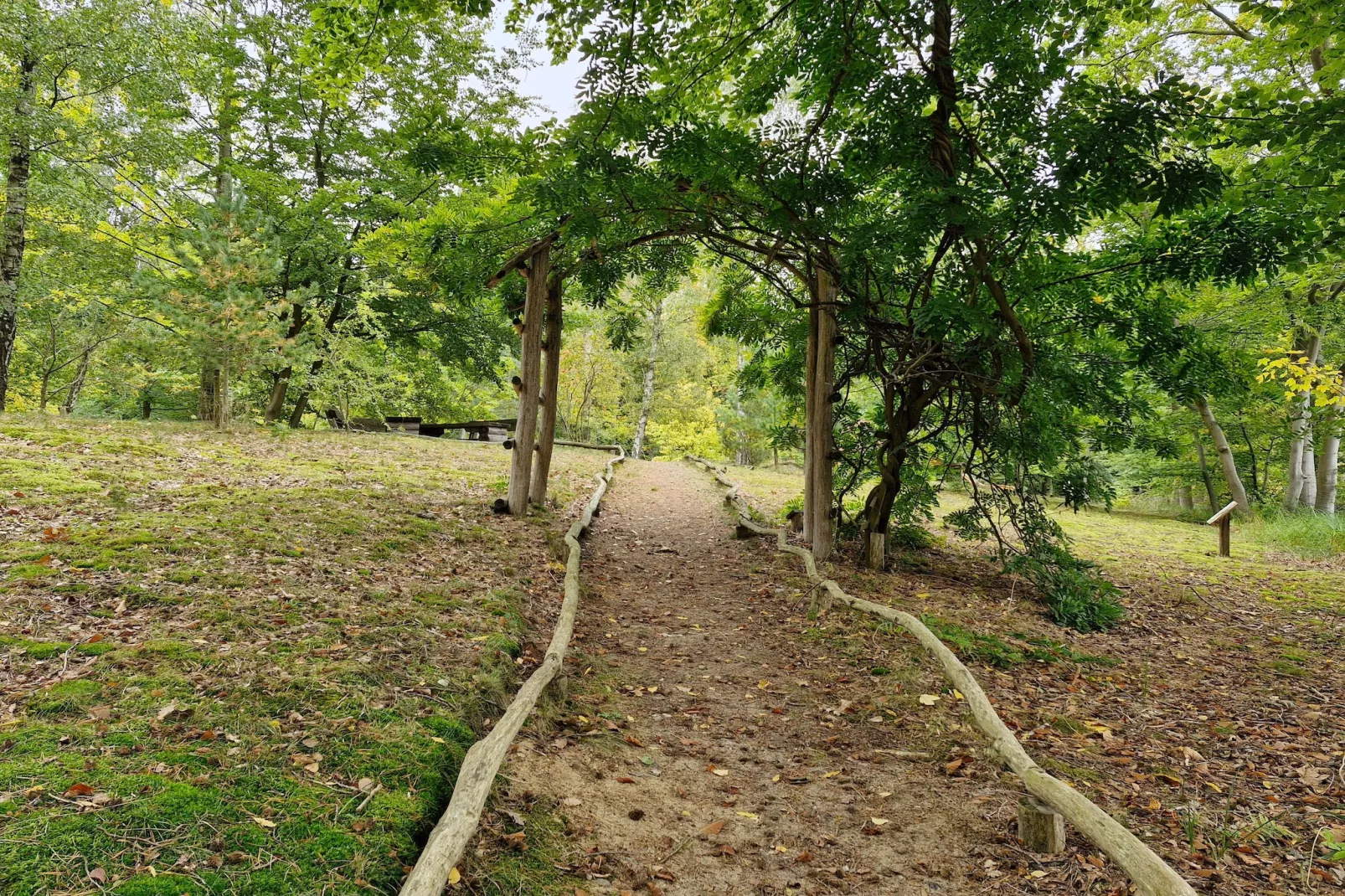 Hafendorf Standard Double Room - Gebieden zomer 5km