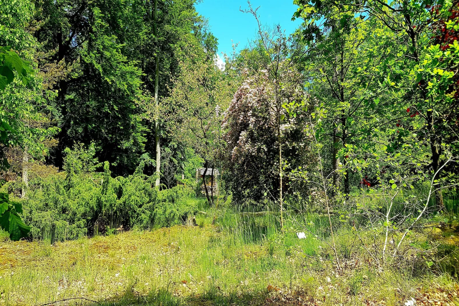 Hafendorf Penthouse Suite - Gebieden zomer 5km