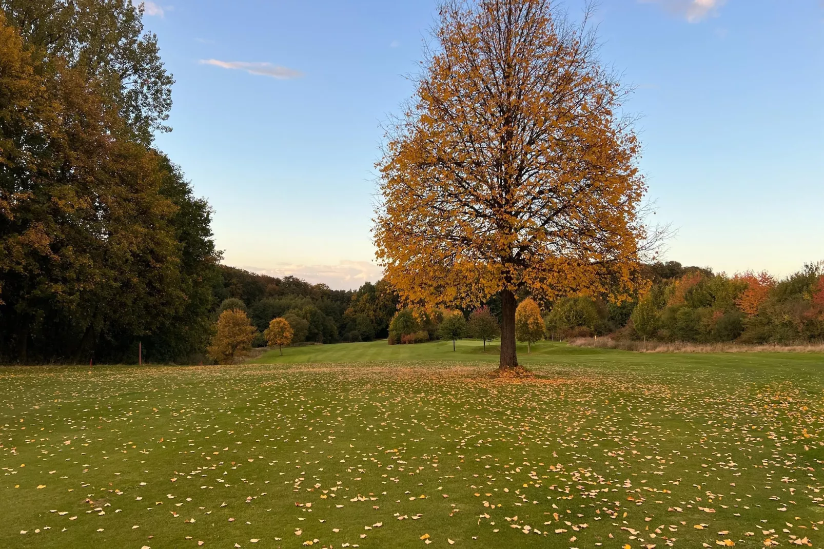 Mercure Hotel - Standard King Room - Gebieden zomer 5km