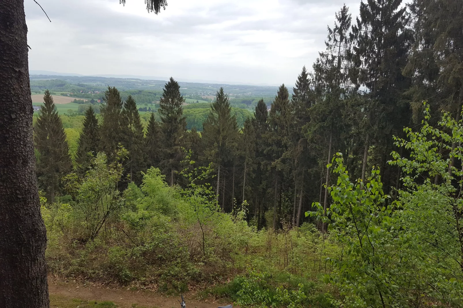 Mercure Hotel - Standard King Room - Gebieden zomer 5km