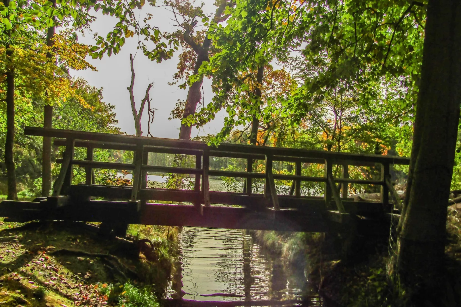 Hafendorf Junior Suite - Gebieden zomer 5km
