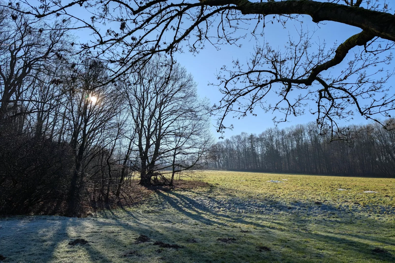 Mercure Hotel - Standard Twin Room - Gebieden zomer 5km