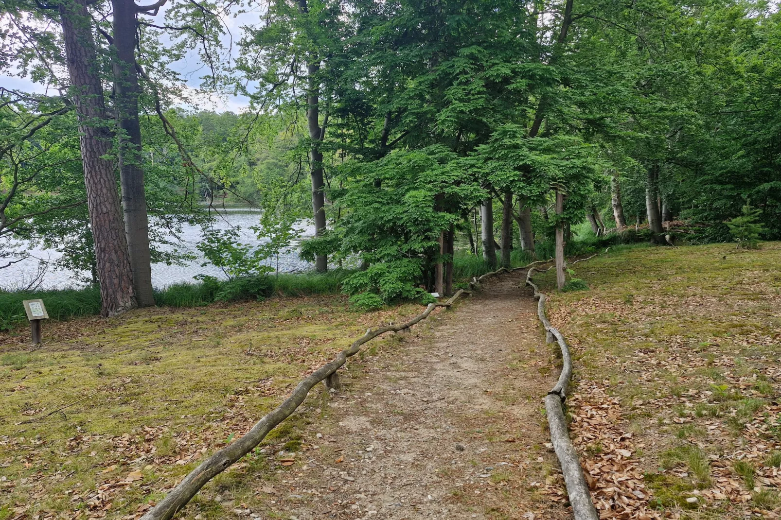 Hafendorf Junior Suite - Gebieden zomer 5km