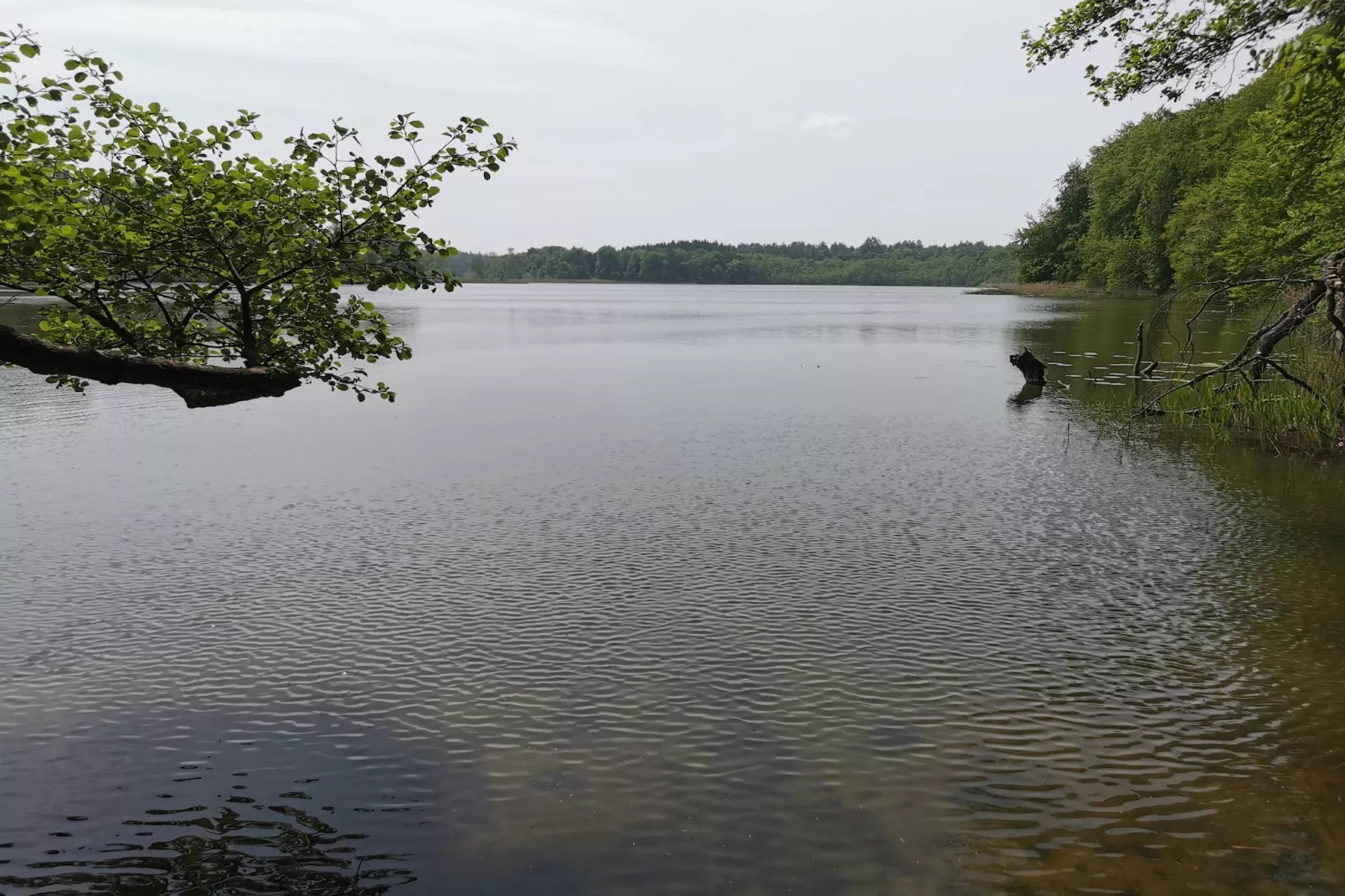 Marina Superior Double Room 4 guest - Gebieden zomer 5km