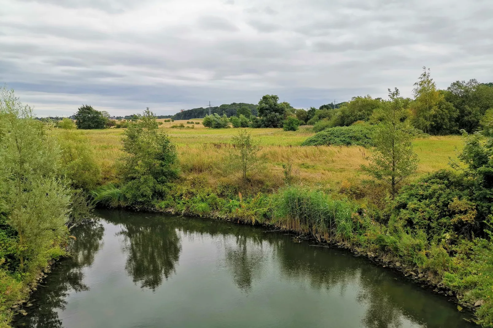 Mercure Hotel - Standard King Room - Gebieden zomer 5km