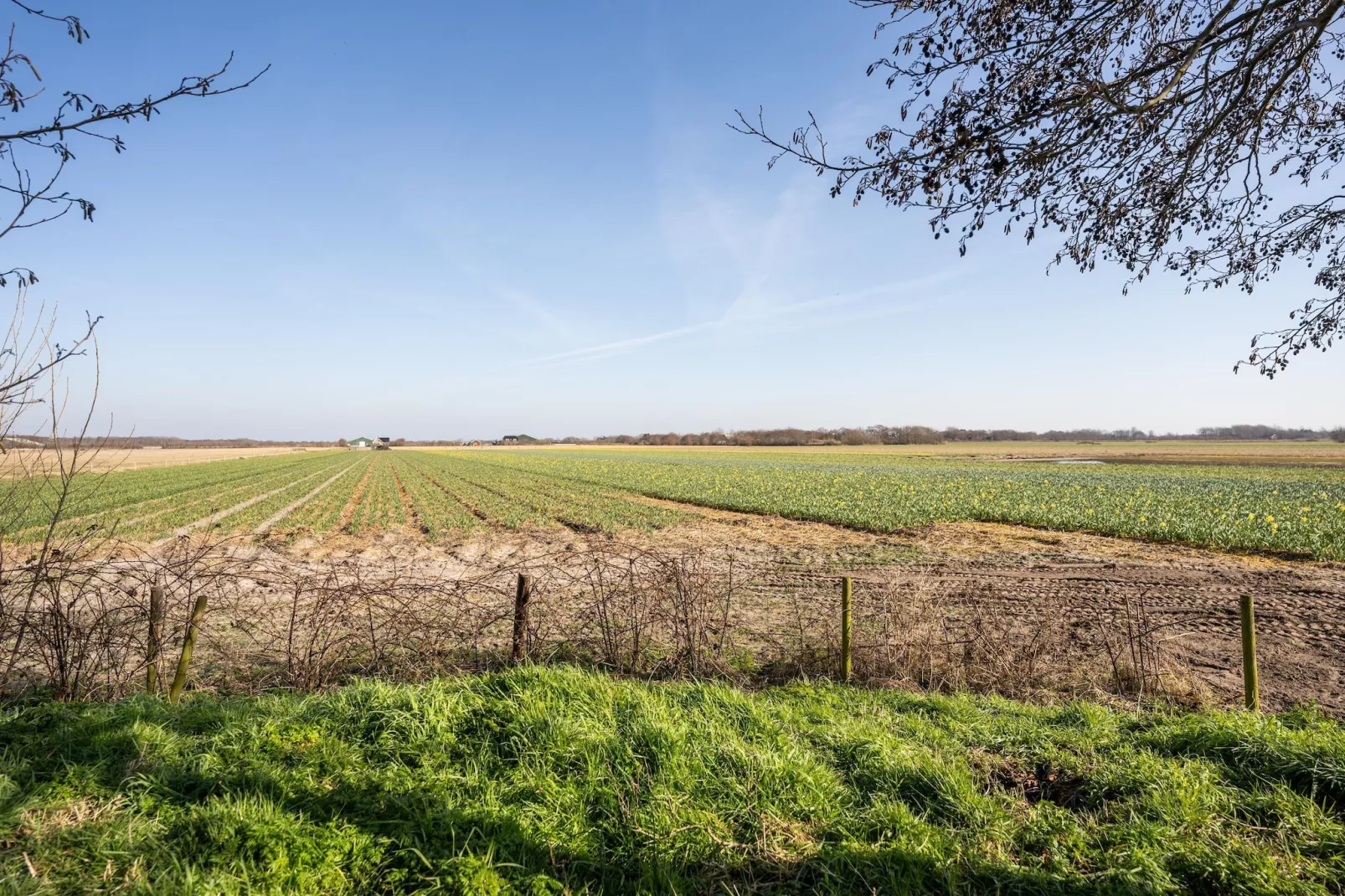 Mienterbos-Duinglop - Tuinen zomer