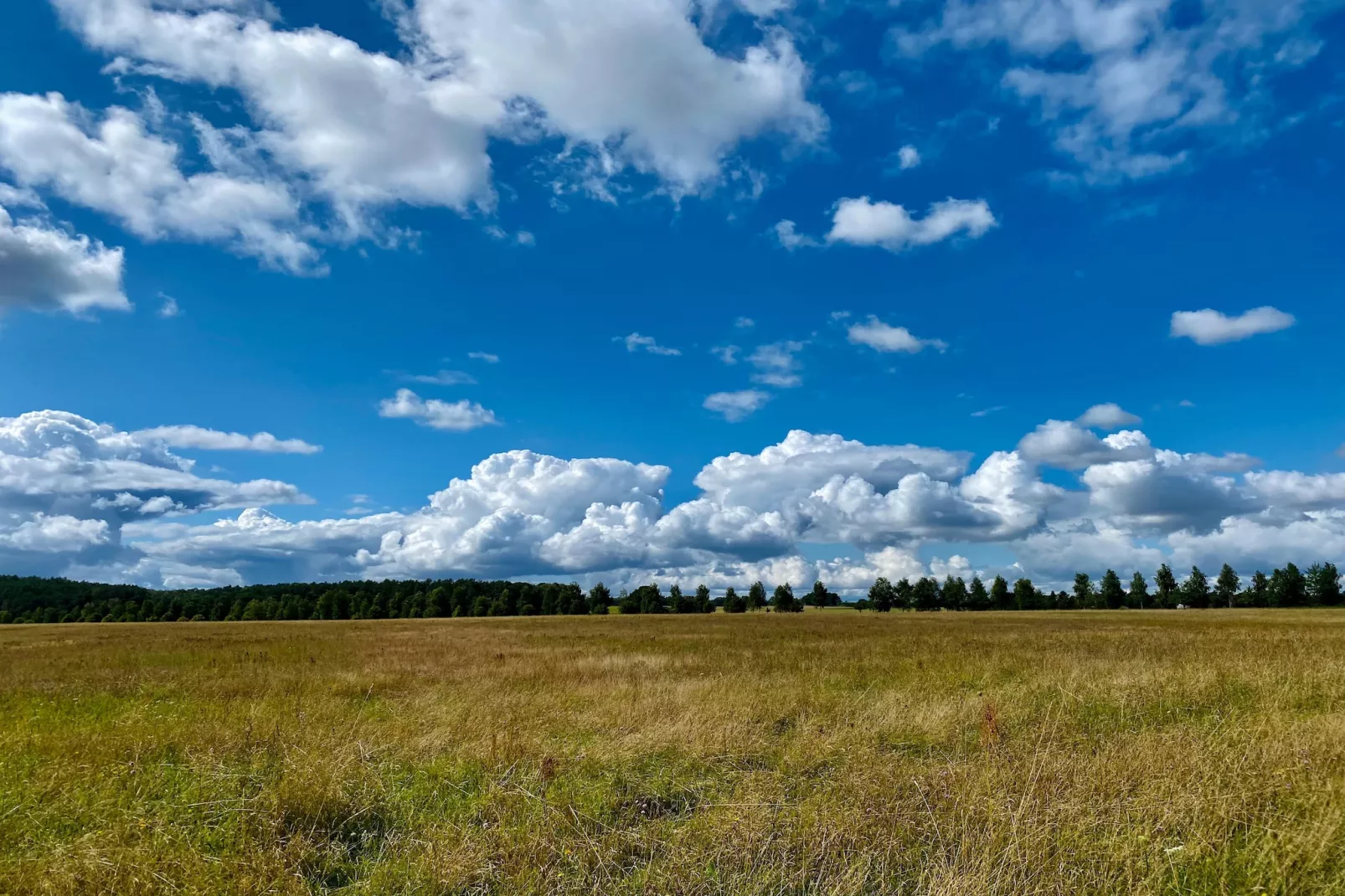 Wheelchair accessible Double Room - Gebieden zomer 5km