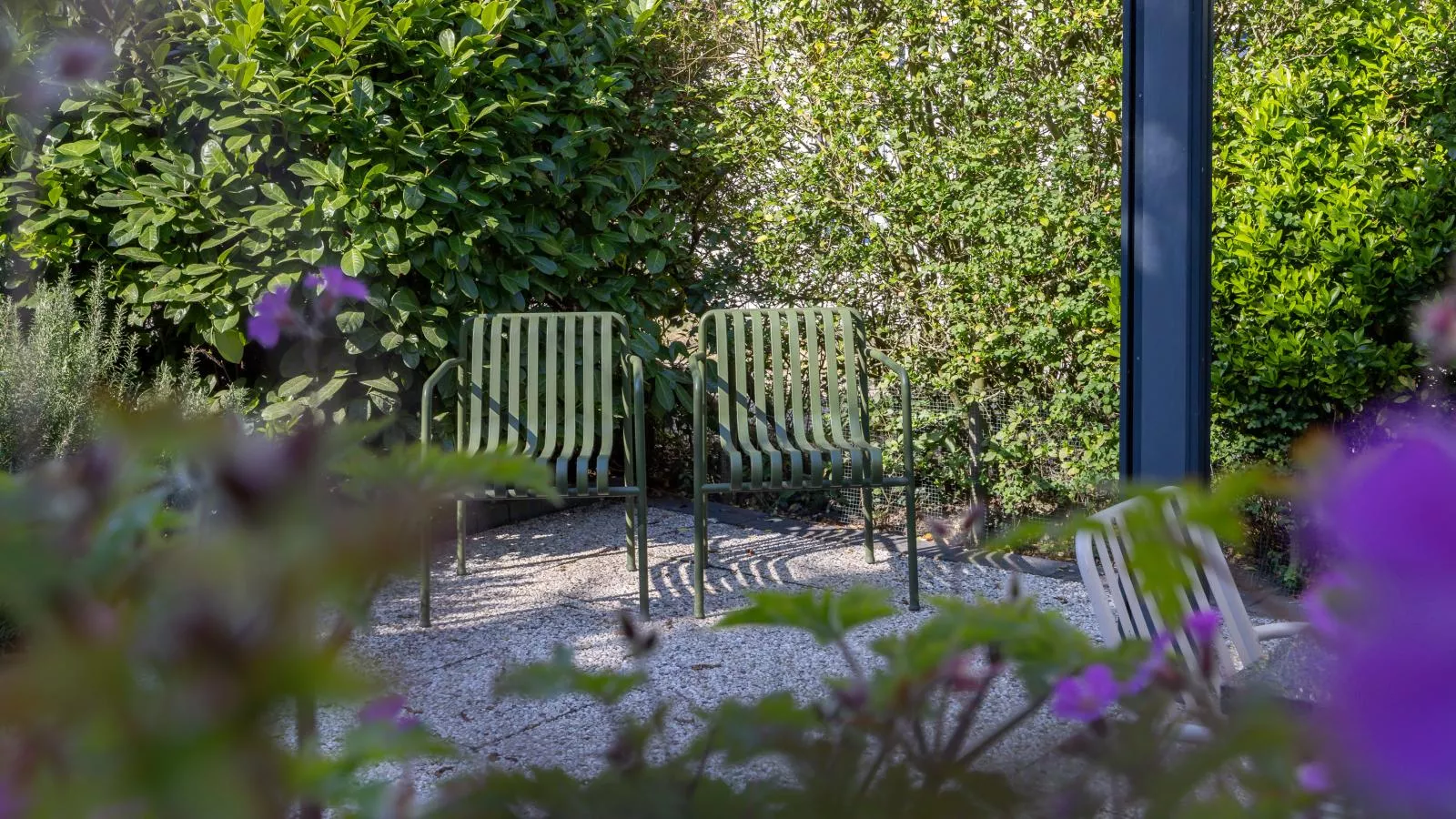 Meerhuis Cardium - Tuinen zomer