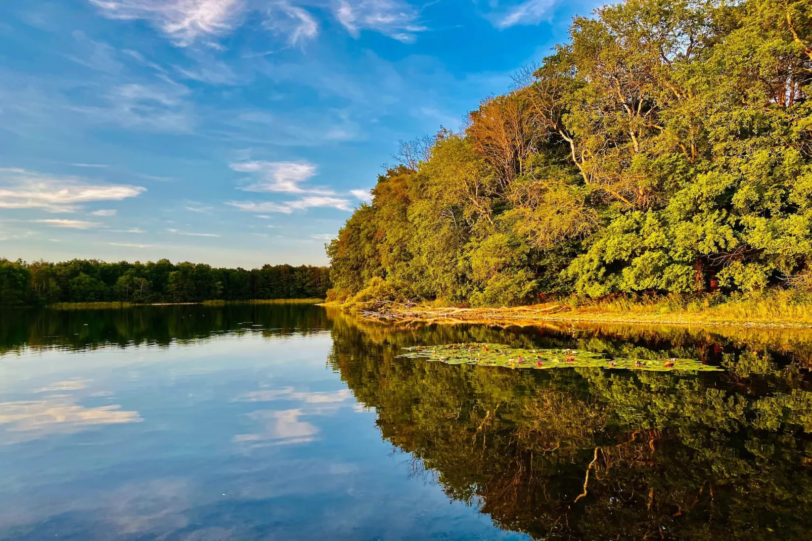 Wheelchair accessible Double Room - Gebieden zomer 5km