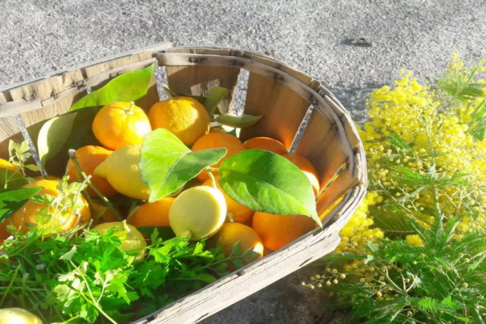 La Pascaline - Sfeer