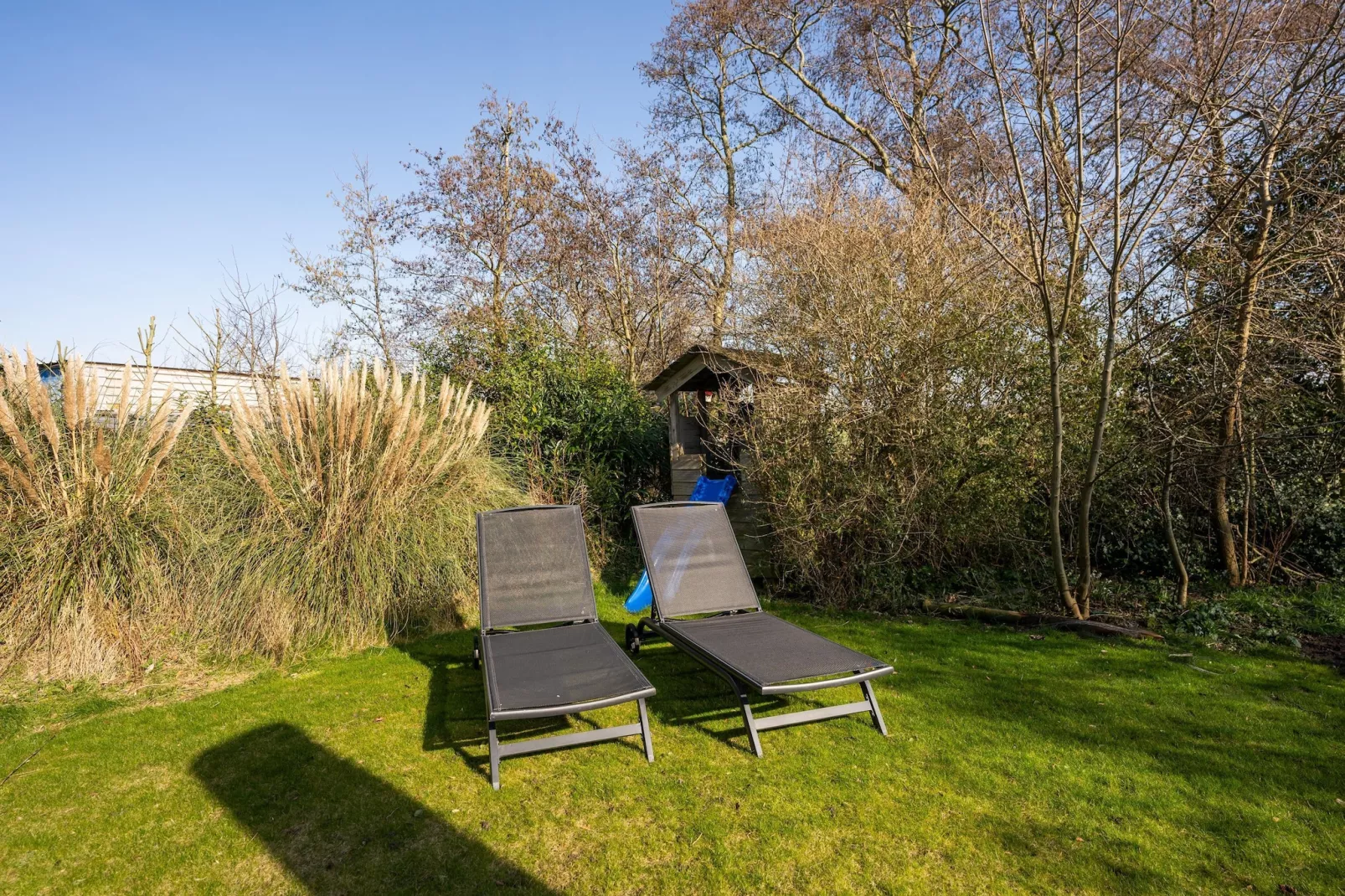 Mienterbos-Duinglop - Tuin winter