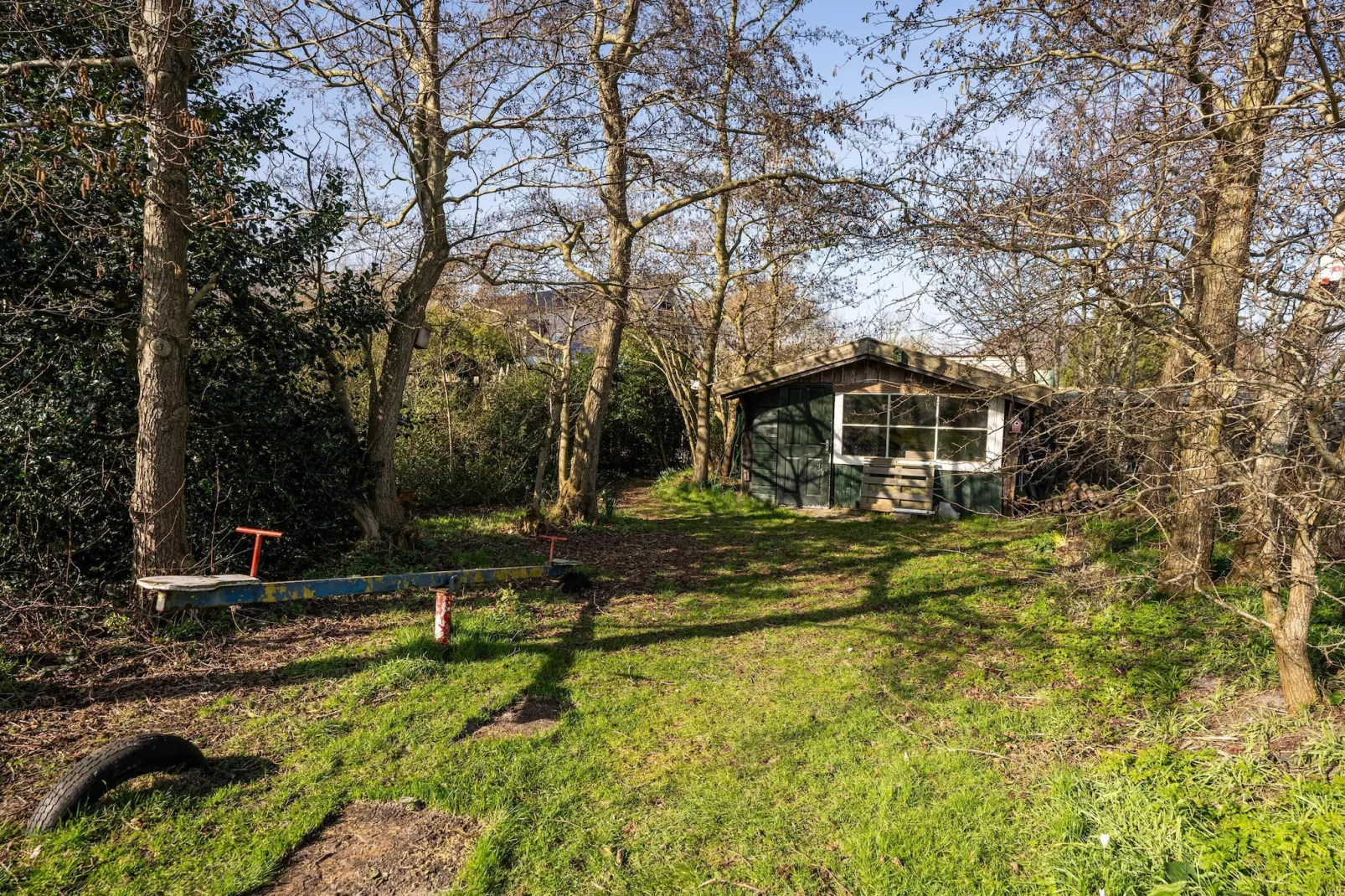 Mienterbos-Duinglop - Tuin winter