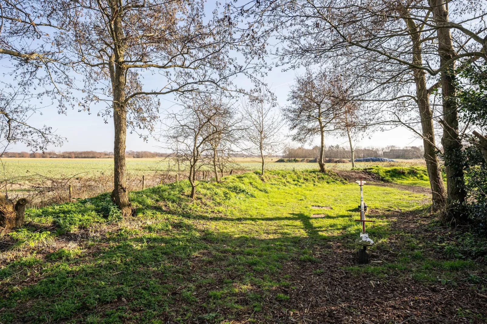 Mienterbos-Duinglop - Tuin winter