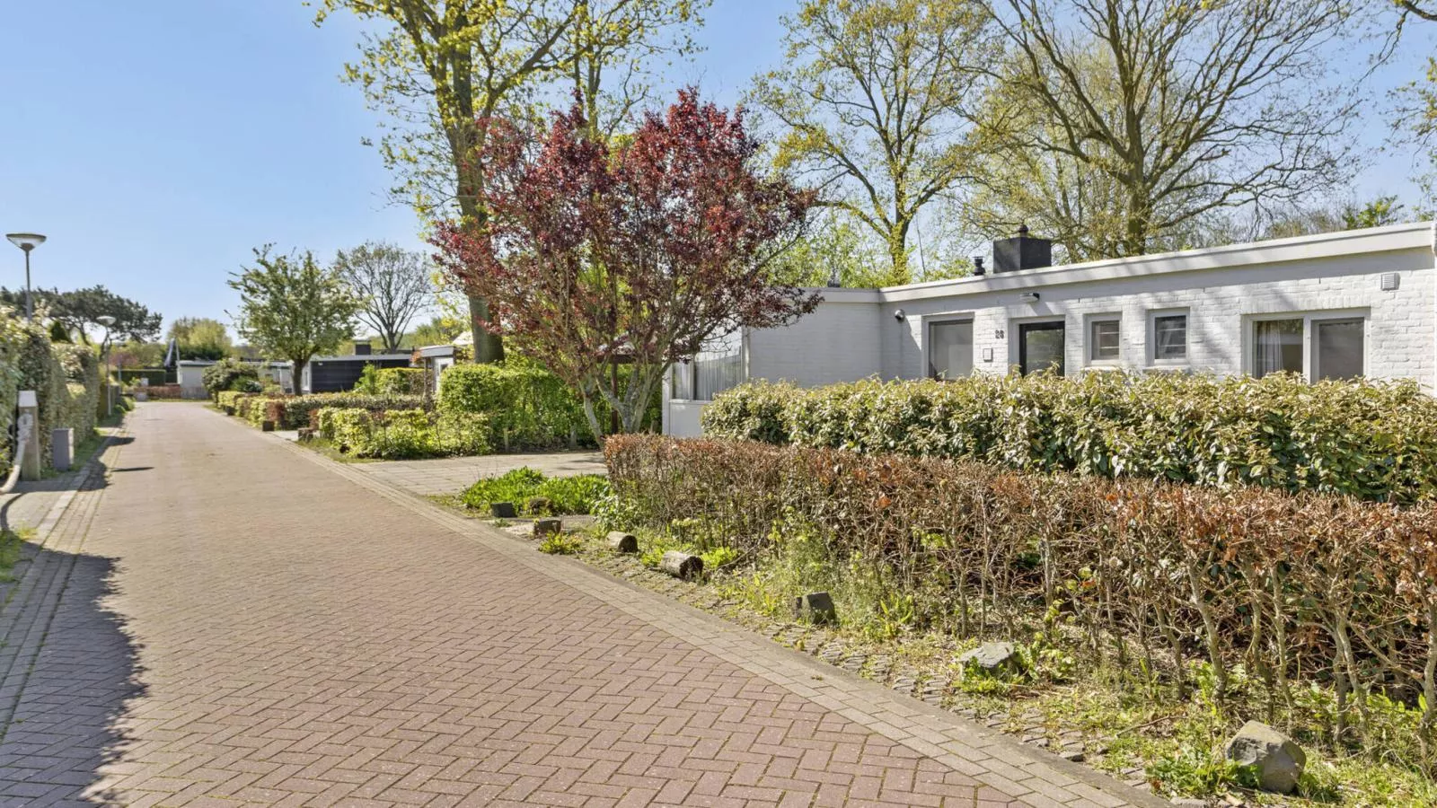 Duinlodge Groot Valkenisse - Buitenkant zomer