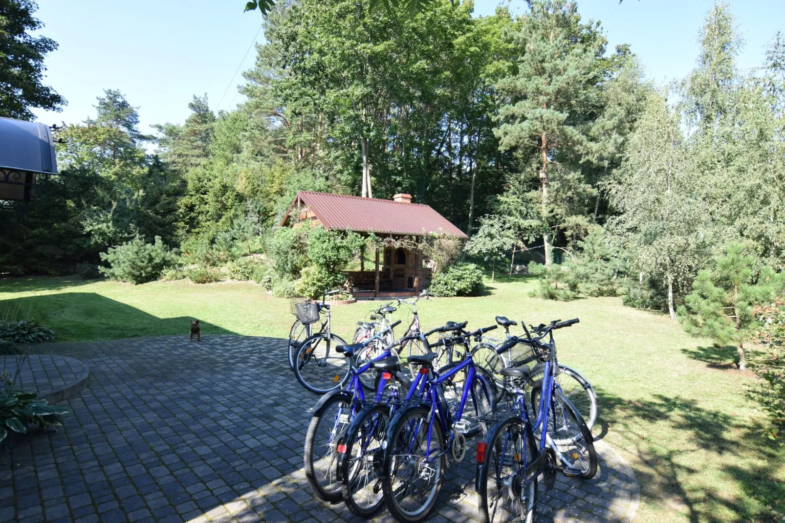 Holiday flat in Choczewo-Tuinen zomer