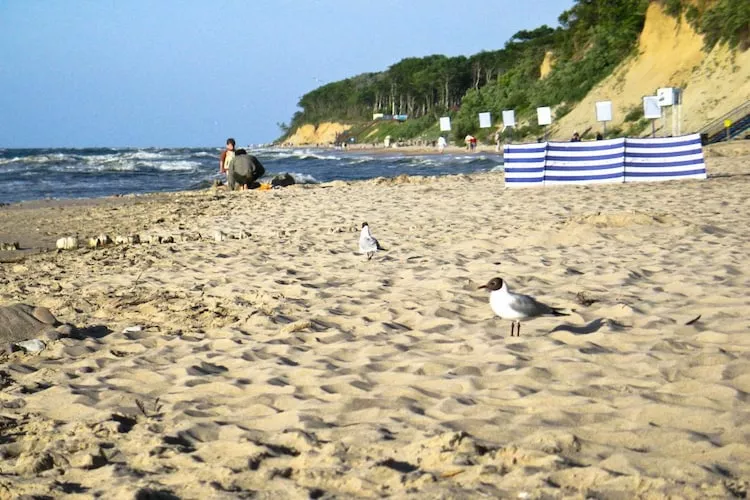 Domy wakacyjne z basenem blisko morza Rewal - Gebieden zomer 1km