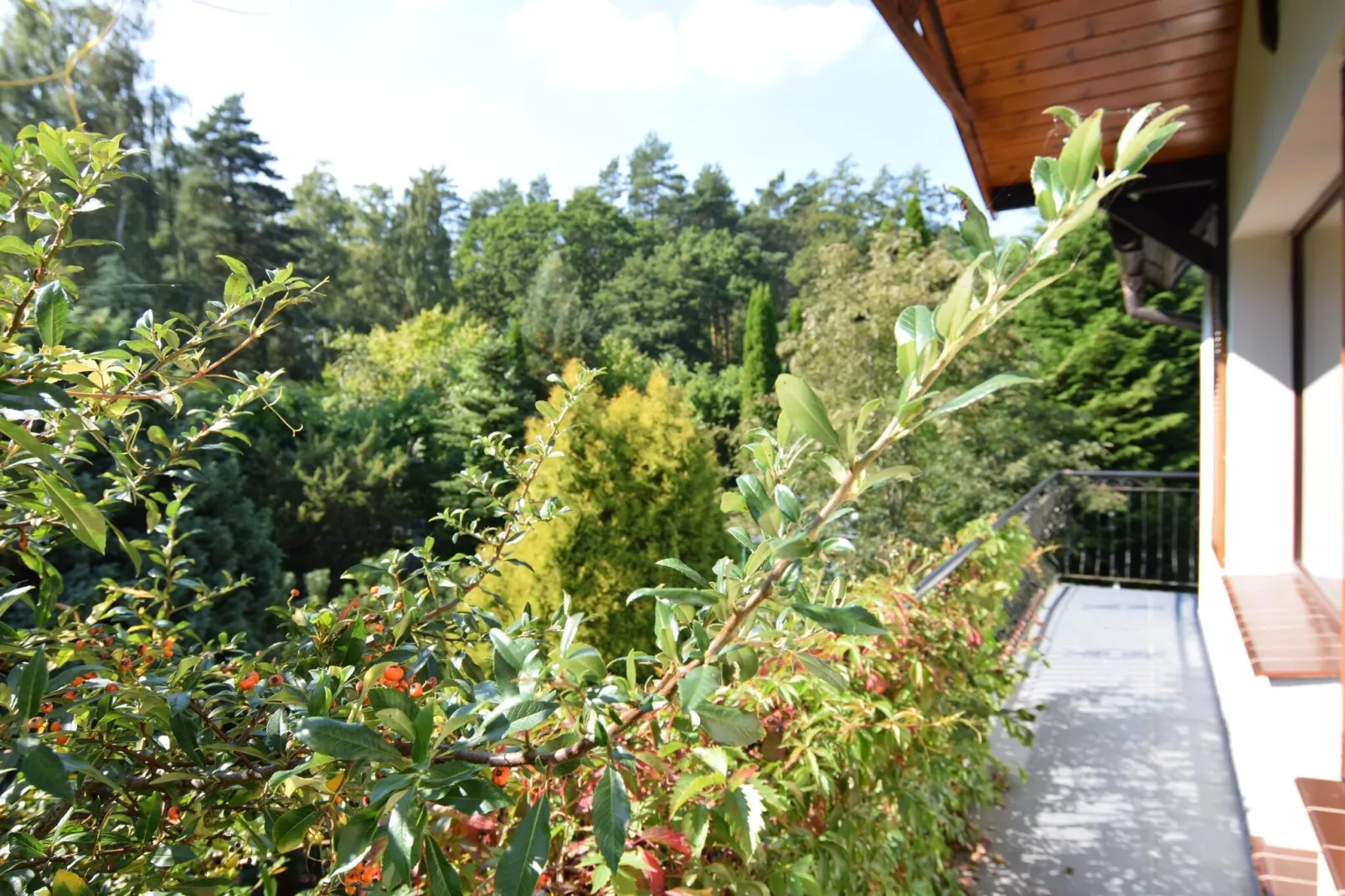 Holiday home in Kopalino-Terrasbalkon