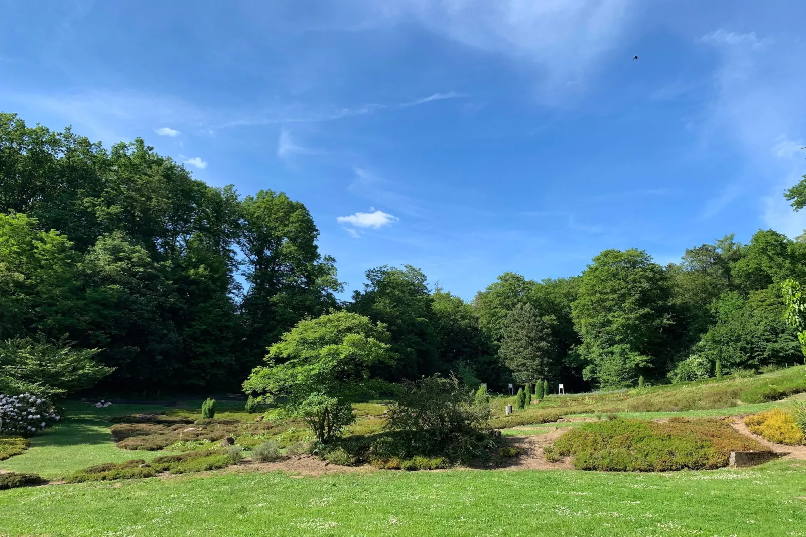 SUPERIOR DOUBLE ROOM - Gebieden zomer 5km