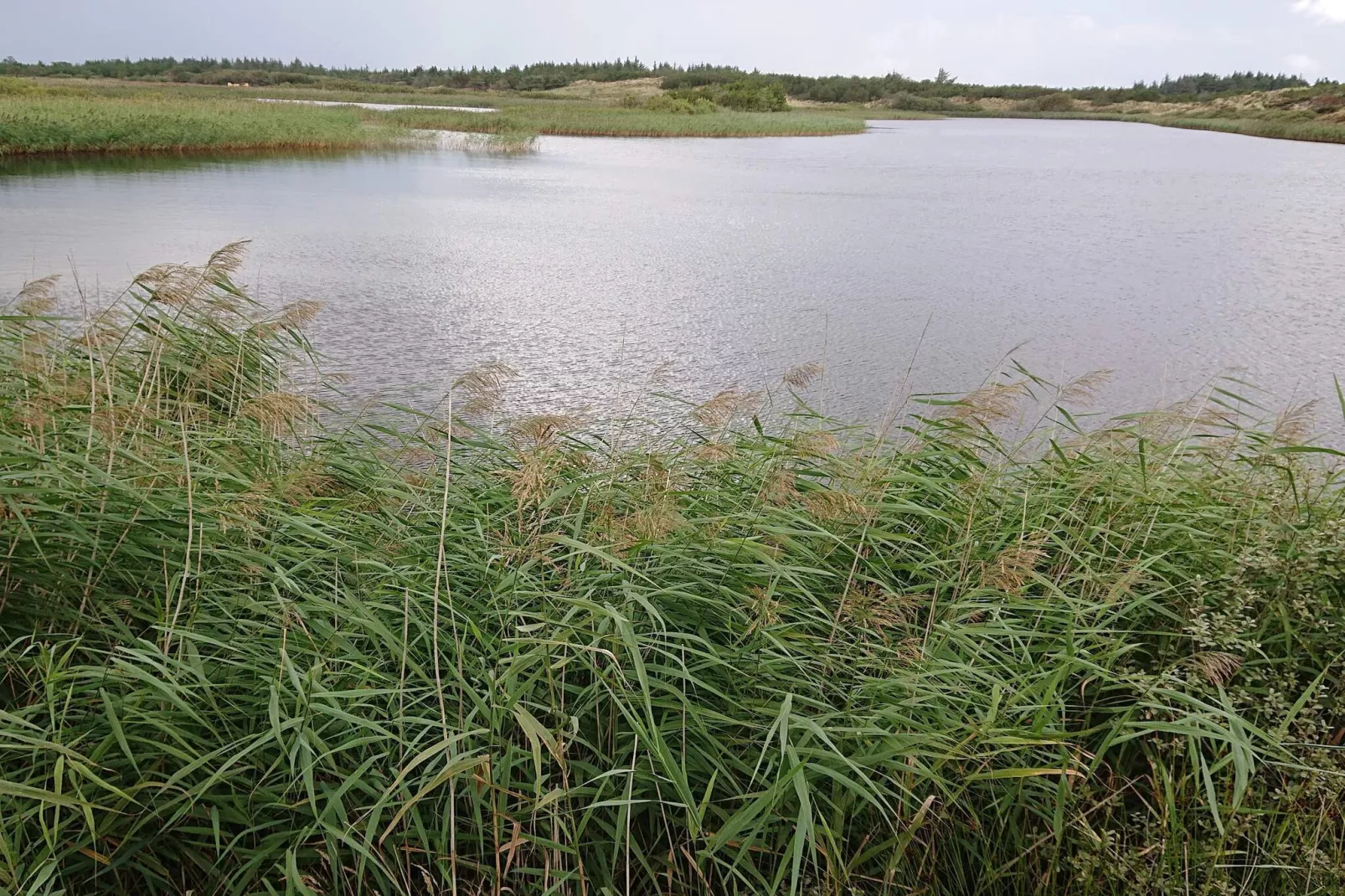 Afgelegen toevluchtsoord met uitzicht - Waterzicht