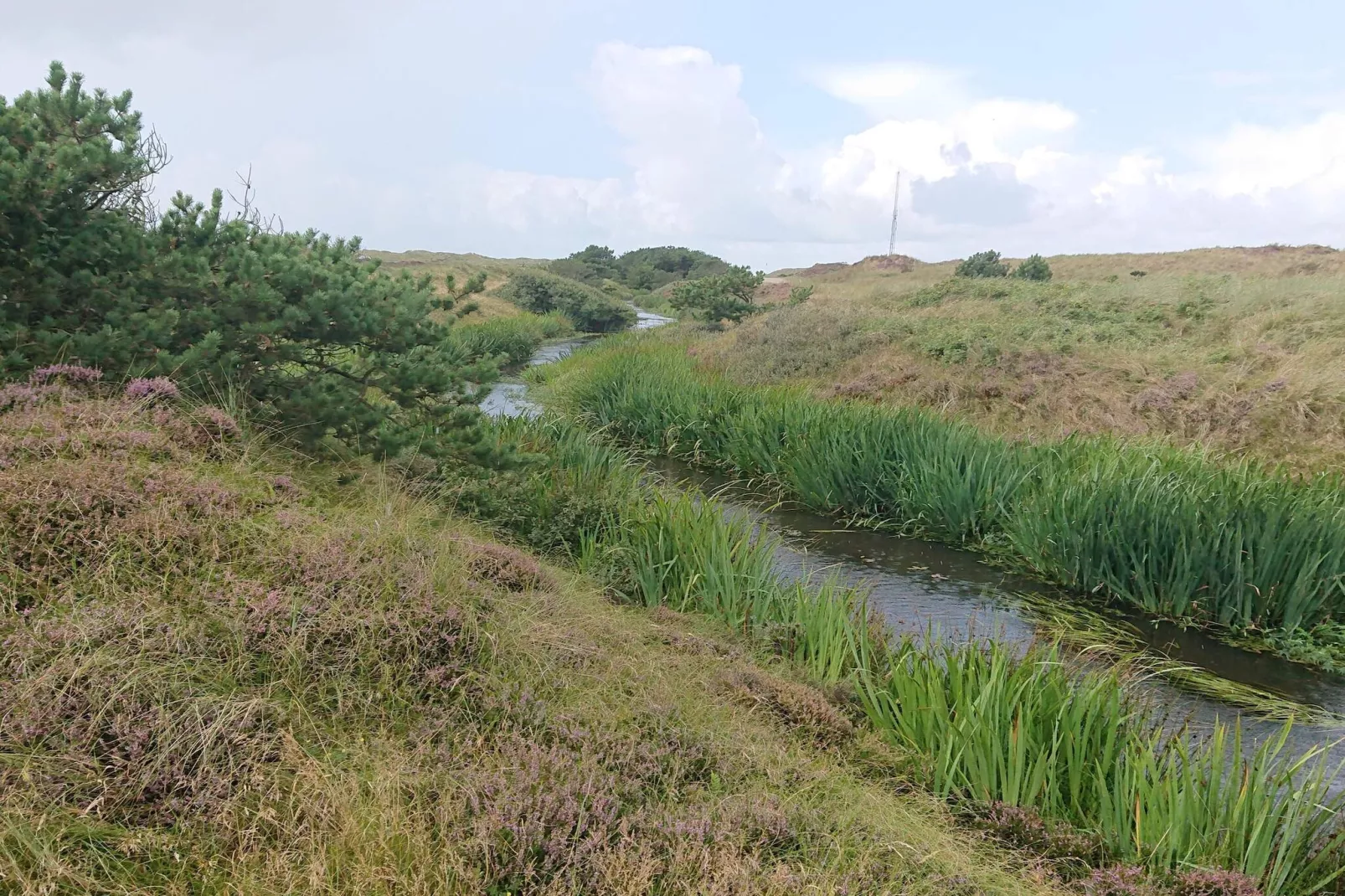 Afgelegen toevluchtsoord met uitzicht - Waterzicht